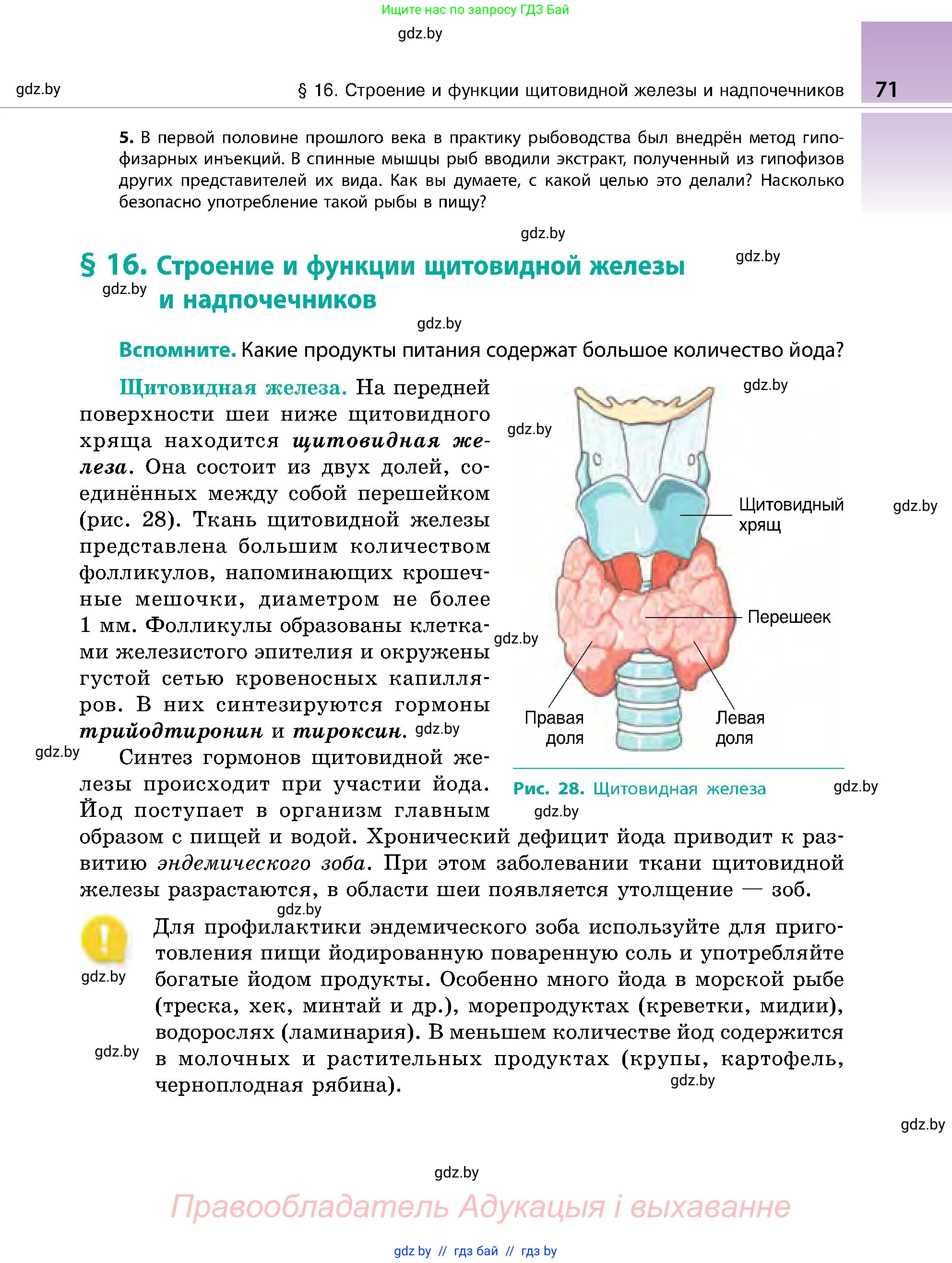 Биология, 9 класс Учебник, авторы: Борисов Олег Леонидович, Антипенко Алеся Анатольевна, Рогожников Олег Николаевич, издательство Адукацыя i выхаванне, Минск, 2025, бирюзового цвета, страница 71
