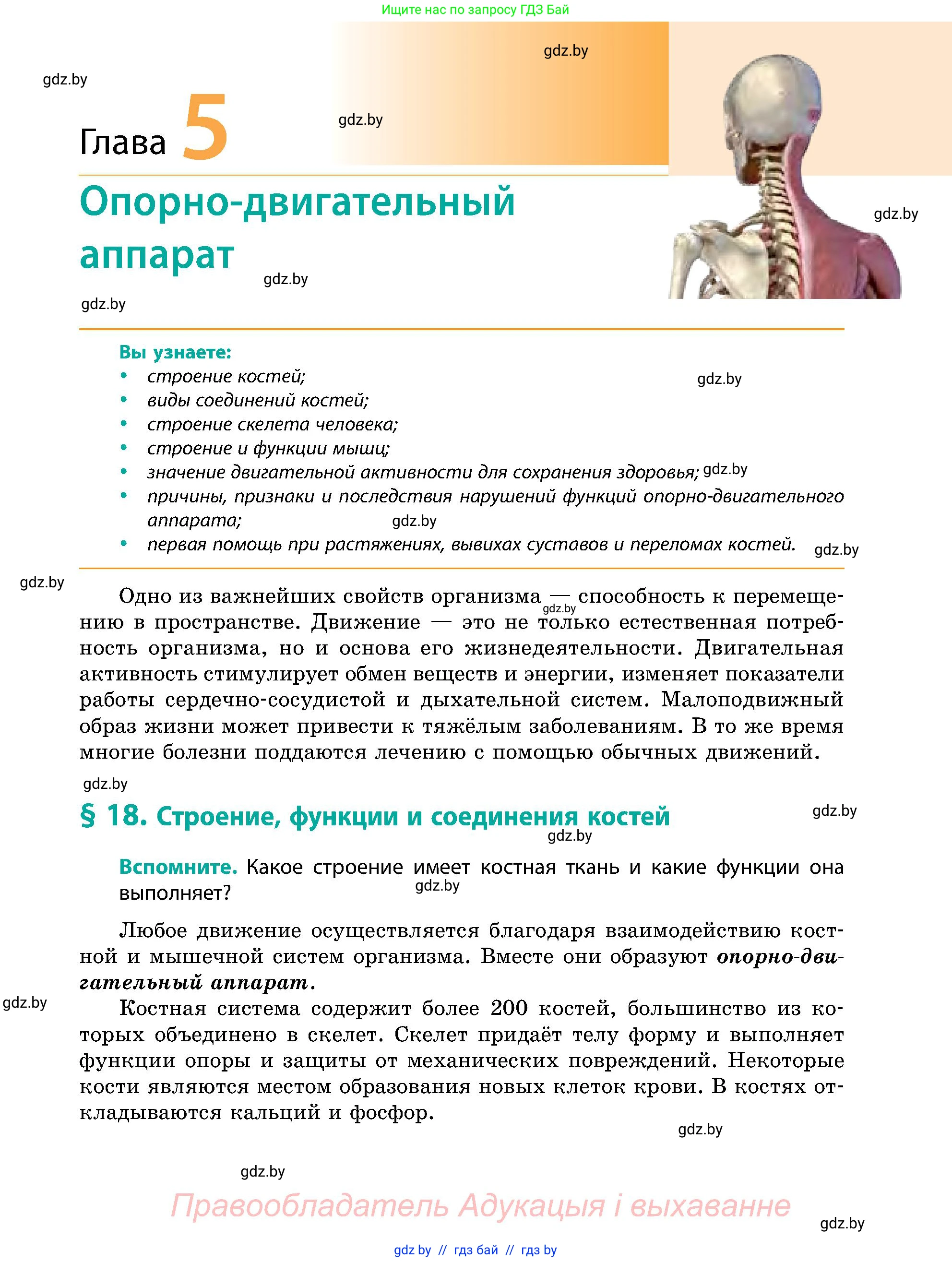 Биология, 9 класс Учебник, авторы: Борисов Олег Леонидович, Антипенко Алеся Анатольевна, Рогожников Олег Николаевич, издательство Адукацыя i выхаванне, Минск, 2025, бирюзового цвета, страница 79