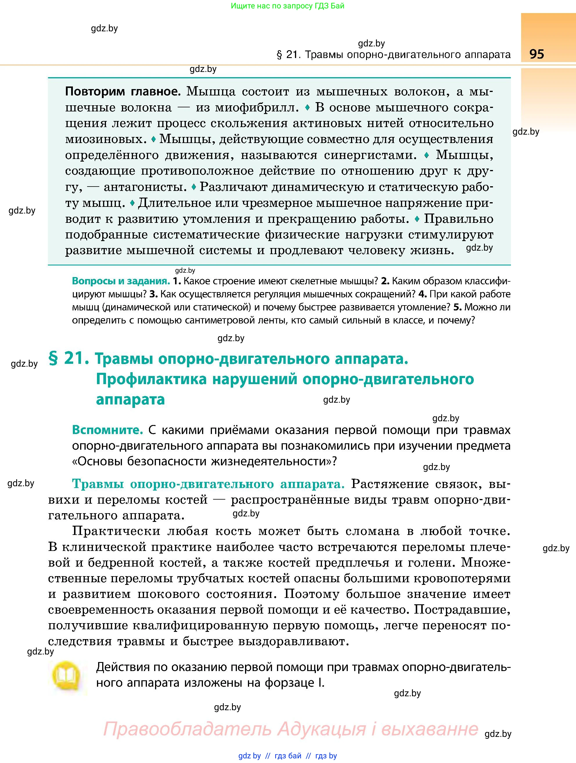Биология, 9 класс Учебник, авторы: Борисов Олег Леонидович, Антипенко Алеся Анатольевна, Рогожников Олег Николаевич, издательство Адукацыя i выхаванне, Минск, 2025, бирюзового цвета, страница 95
