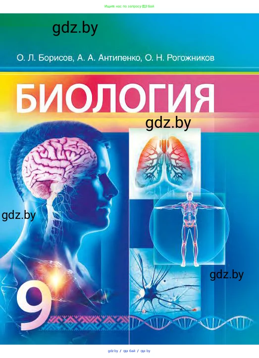 Биология, 9 класс Учебник, авторы: Борисов Олег Леонидович, Антипенко Алеся Анатольевна, Рогожников Олег Николаевич, издательство Адукацыя i выхаванне, Минск, 2025, бирюзового цвета, 