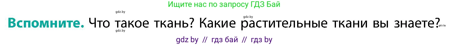 Биология, 9 класс Учебник, авторы: Борисов Олег Леонидович, Антипенко Алеся Анатольевна, Рогожников Олег Николаевич, издательство Адукацыя i выхаванне, Минск, 2025, бирюзового цвета, страница 11, Условие