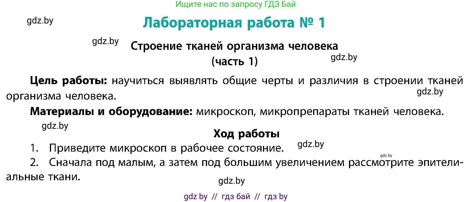 Биология, 9 класс Учебник, авторы: Борисов Олег Леонидович, Антипенко Алеся Анатольевна, Рогожников Олег Николаевич, издательство Адукацыя i выхаванне, Минск, 2025, бирюзового цвета, страница 13, Условие