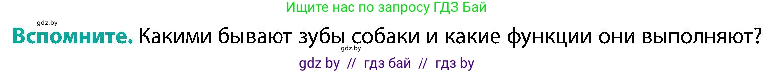 Биология, 9 класс Учебник, авторы: Борисов Олег Леонидович, Антипенко Алеся Анатольевна, Рогожников Олег Николаевич, издательство Адукацыя i выхаванне, Минск, 2025, бирюзового цвета, страница 151, Условие