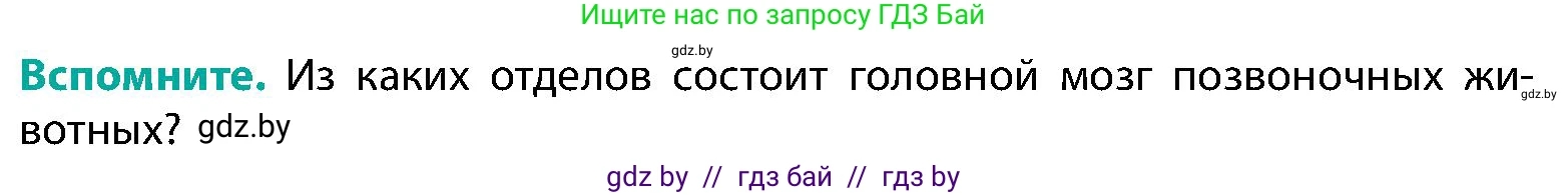 Биология, 9 класс Учебник, авторы: Борисов Олег Леонидович, Антипенко Алеся Анатольевна, Рогожников Олег Николаевич, издательство Адукацыя i выхаванне, Минск, 2025, бирюзового цвета, страница 34, Условие