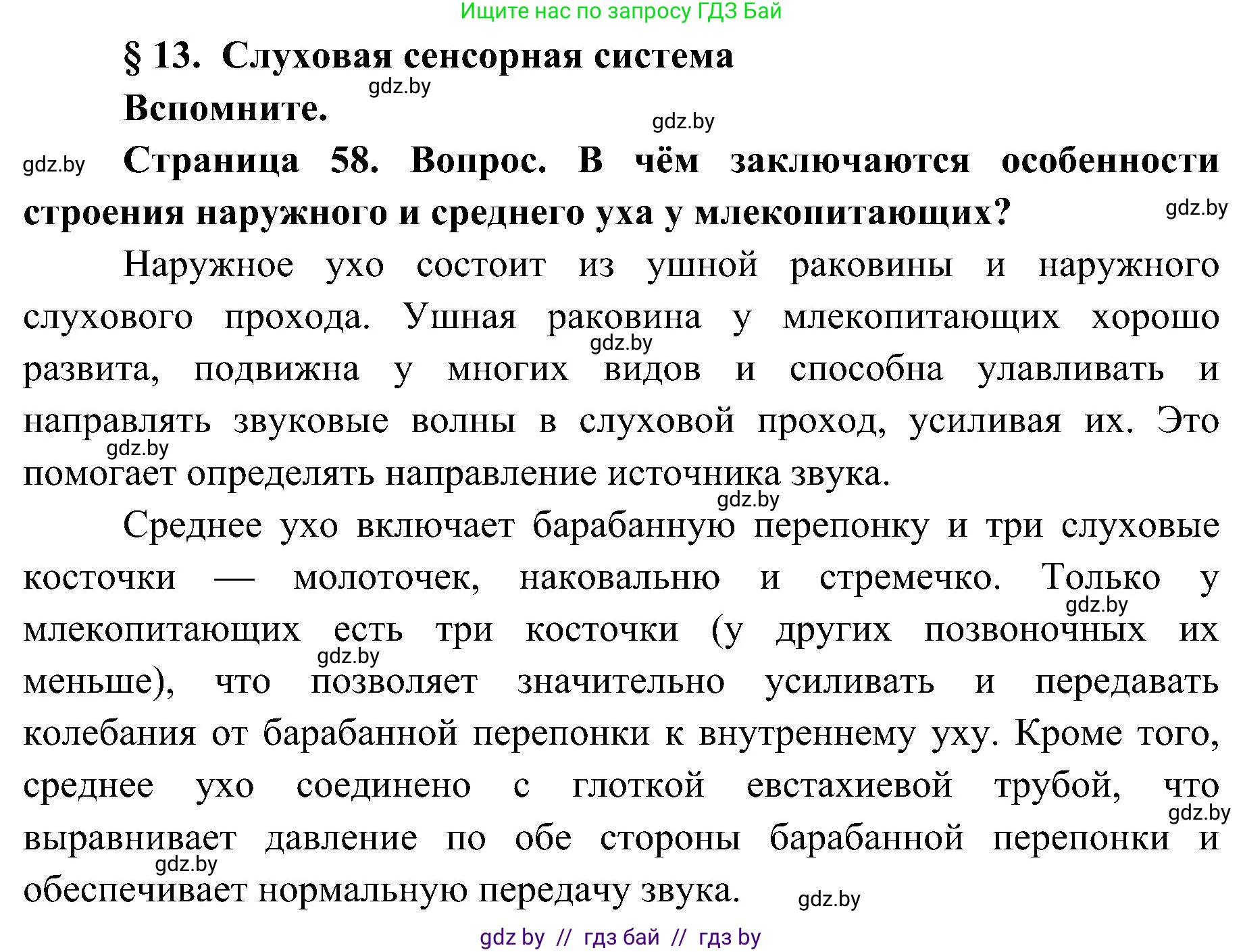 Биология, 9 класс Учебник, авторы: Борисов Олег Леонидович, Антипенко Алеся Анатольевна, Рогожников Олег Николаевич, издательство Адукацыя i выхаванне, Минск, 2025, бирюзового цвета, страница 58, Решение