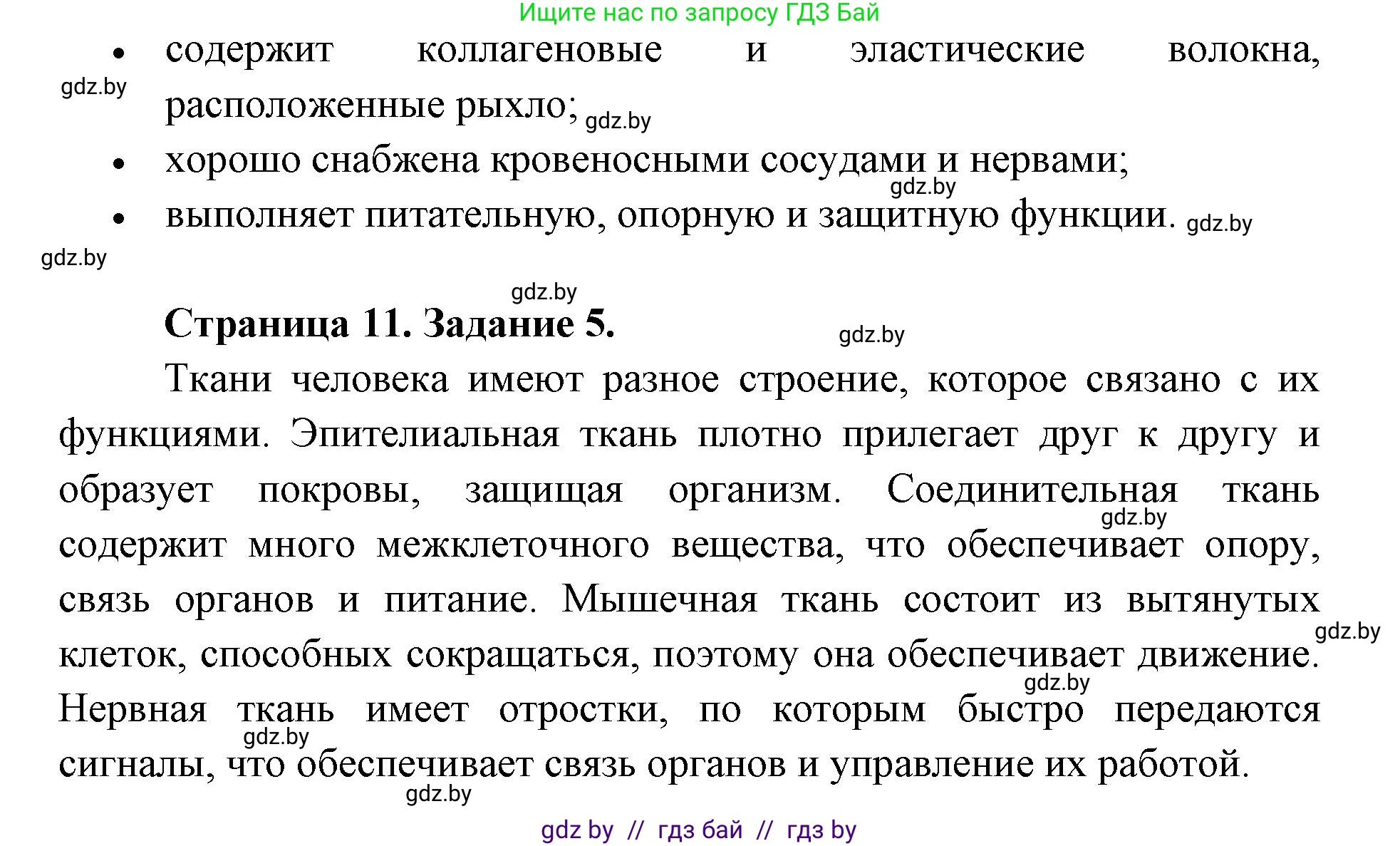 Биология, 9 класс Тетрадь для лабораторных и практических работ, автор: Лисов Николай Дмитриевич, издательство Аверсэв, Минск, 2025, оранжевого цвета, страница 4, Решение 2025 (продолжение 3)