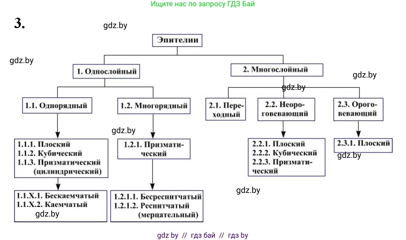 Биология, 9 класс рабочая тетрадь, автор: Лисов Николай Дмитриевич, издательство Аверсэв, Минск, 2021, оранжевого цвета, страница 5, номер 3, Решение