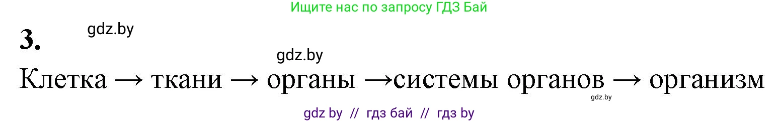 Биология, 9 класс рабочая тетрадь, автор: Лисов Николай Дмитриевич, издательство Аверсэв, Минск, 2021, оранжевого цвета, страница 12, номер 3, Решение