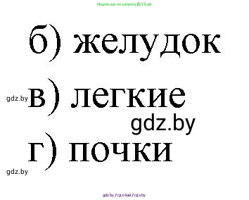 Биология, 9 класс рабочая тетрадь, автор: Лисов Николай Дмитриевич, издательство Аверсэв, Минск, 2021, оранжевого цвета, страница 13, номер 6, Решение (продолжение 2)