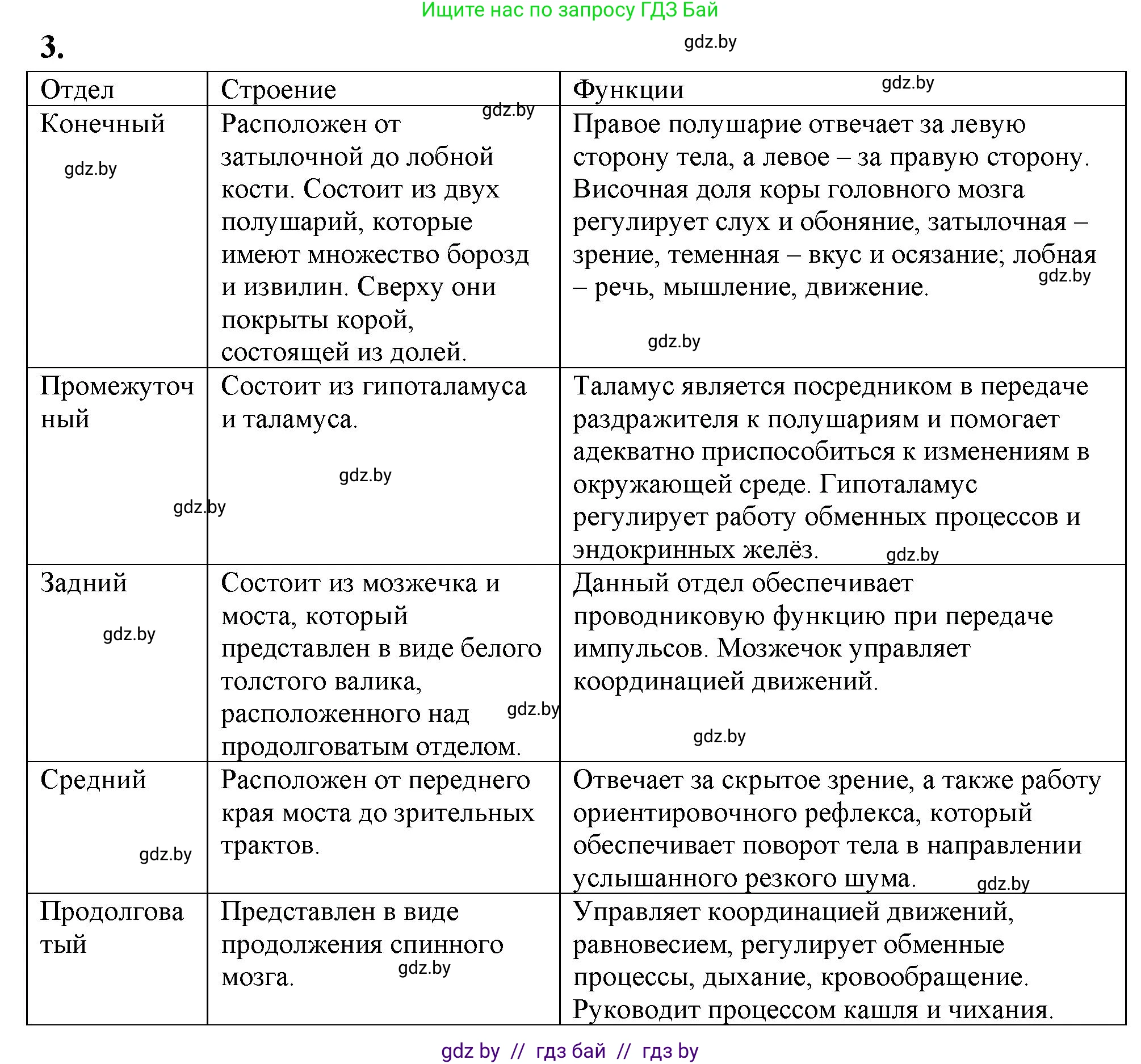 Биология, 9 класс рабочая тетрадь, автор: Лисов Николай Дмитриевич, издательство Аверсэв, Минск, 2021, оранжевого цвета, страница 22, номер 3, Решение