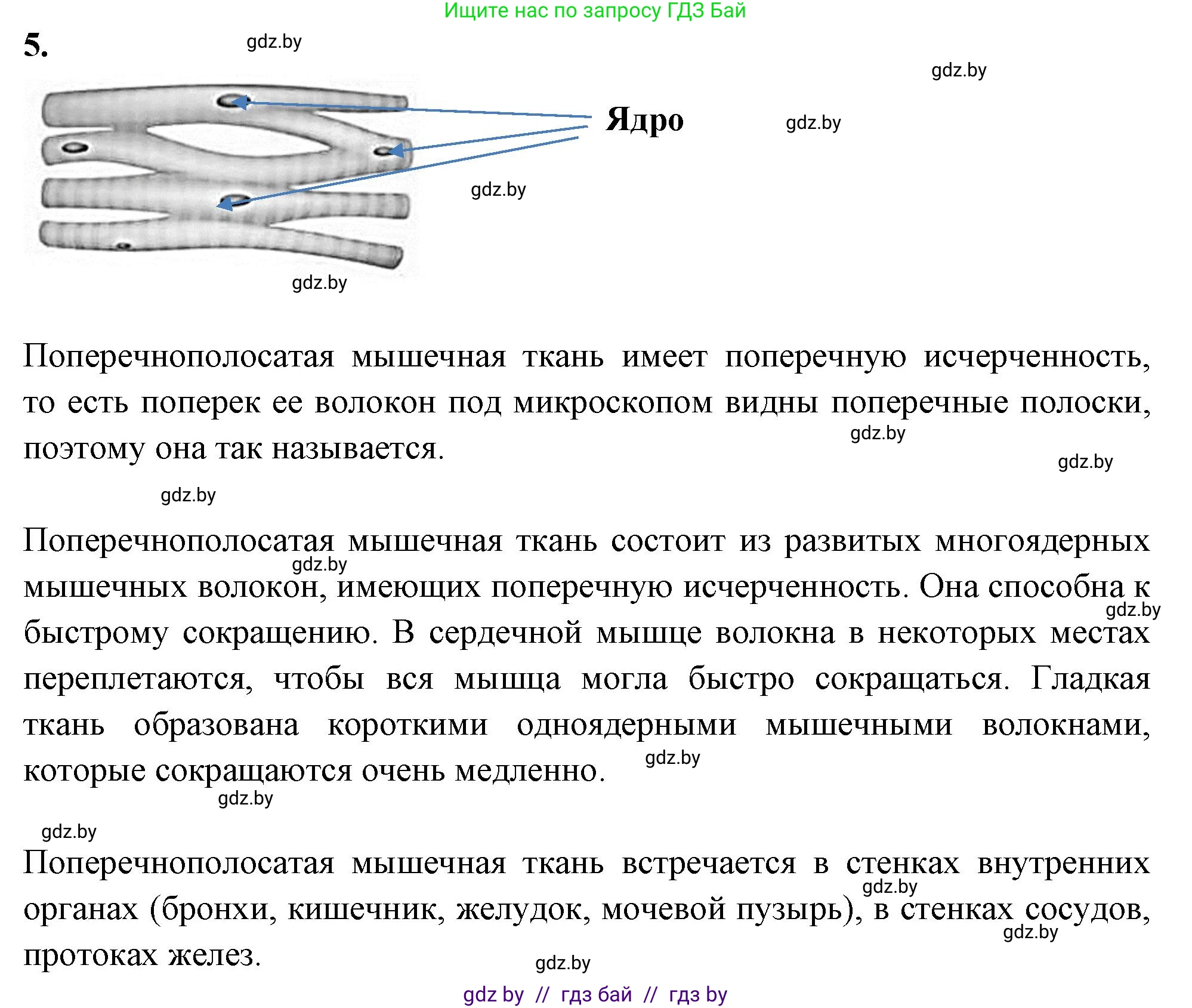 Биология, 9 класс рабочая тетрадь, автор: Лисов Николай Дмитриевич, издательство Аверсэв, Минск, 2021, оранжевого цвета, страница 10, номер 5, Решение