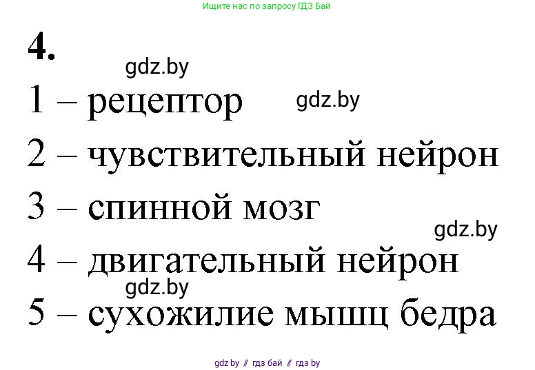 Биология, 9 класс тетрадь для демонстрационных опытов, лабораторных и практических работ, автор: Рогожников Олег Николаевич, издательство Сэр-Вит, Минск, 2023, оранжевого цвета, страница 9, номер 4, Решение
