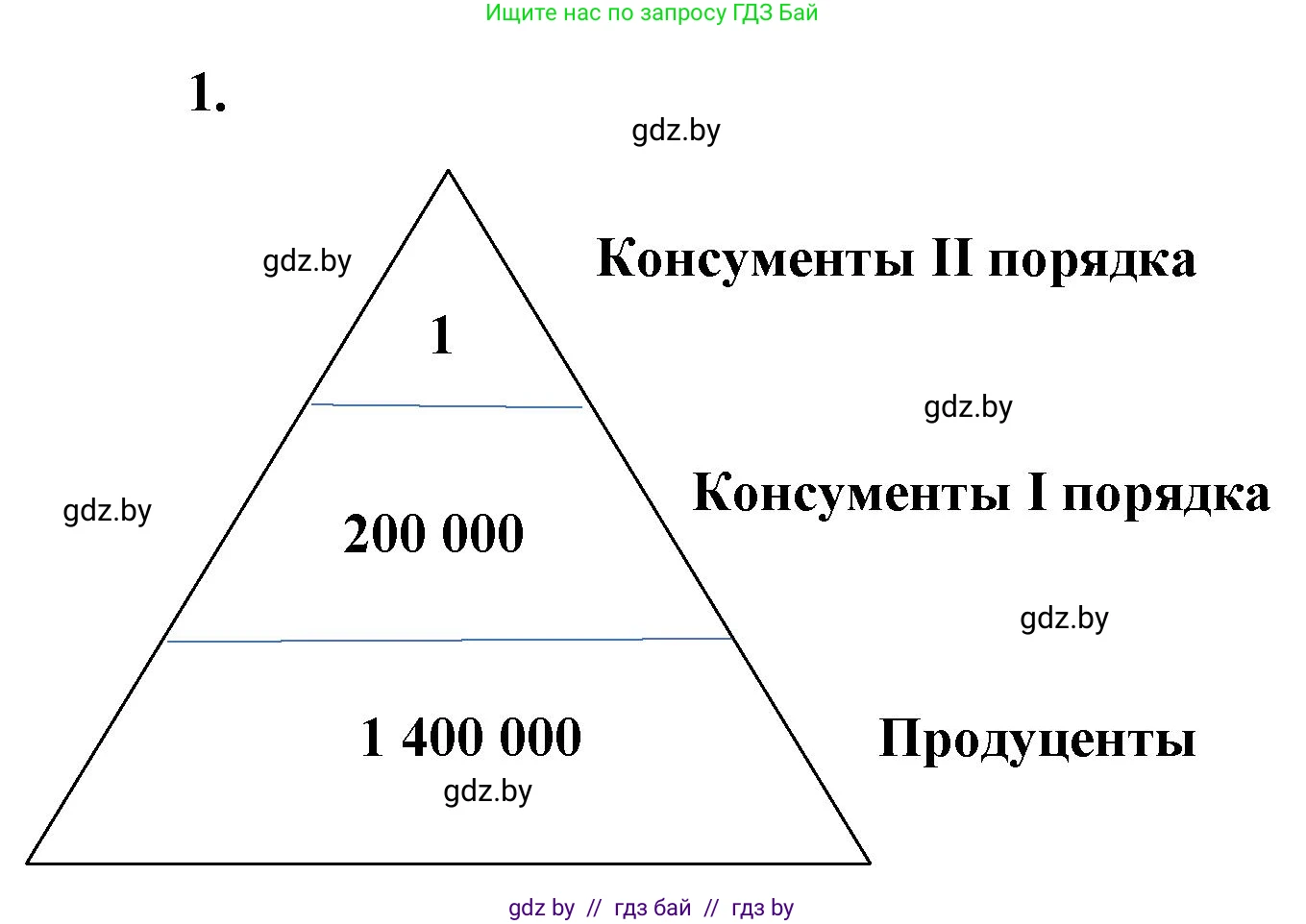Биология, 10 класс Тетрадь для лабораторных и практических работ, автор: Хруцкая Тамара Викторовна, издательство Аверсэв, Минск, 2022, зелёного цвета, страница 29, номер 1, Решение
