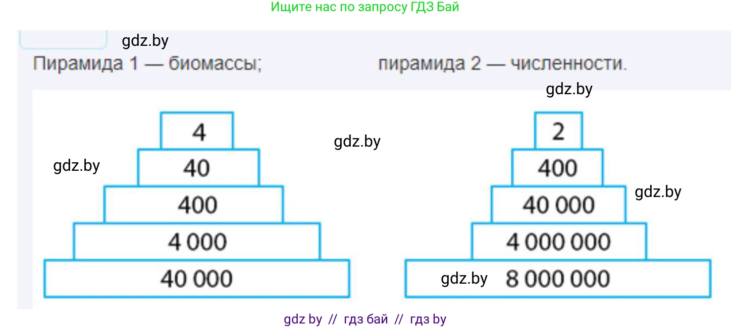 Биология, 10 класс Тетрадь для лабораторных и практических работ, автор: Хруцкая Тамара Викторовна, издательство Аверсэв, Минск, 2022, зелёного цвета, страница 30, номер 2, Решение