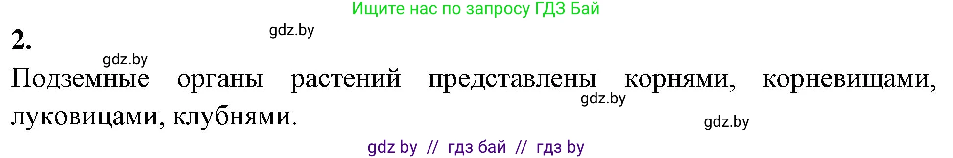 Биология, 10 класс Тетрадь для лабораторных и практических работ, автор: Хруцкая Тамара Викторовна, издательство Аверсэв, Минск, 2020, зелёного цвета, страница 67, номер 2, Решение