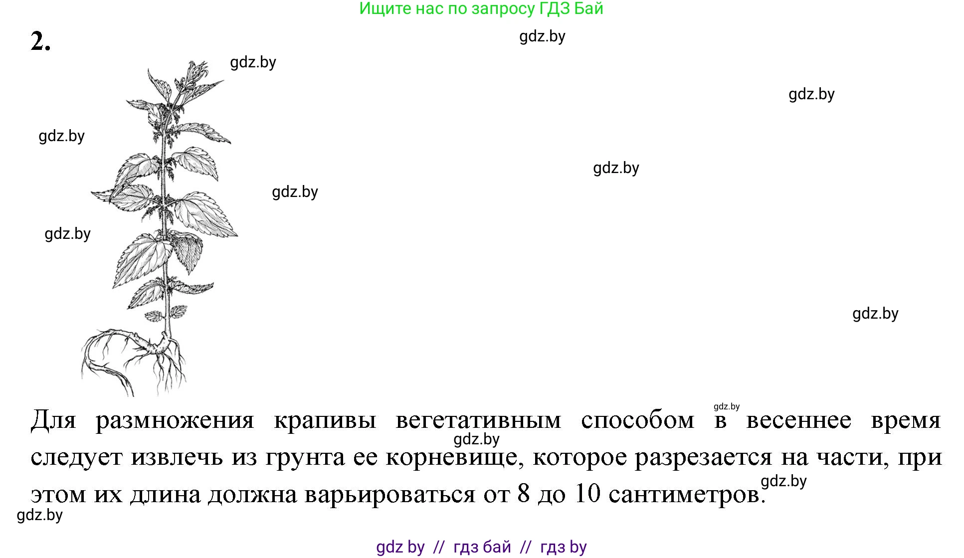 Биология, 10 класс Тетрадь для лабораторных и практических работ, автор: Хруцкая Тамара Викторовна, издательство Аверсэв, Минск, 2020, зелёного цвета, страница 63, номер 2, Решение