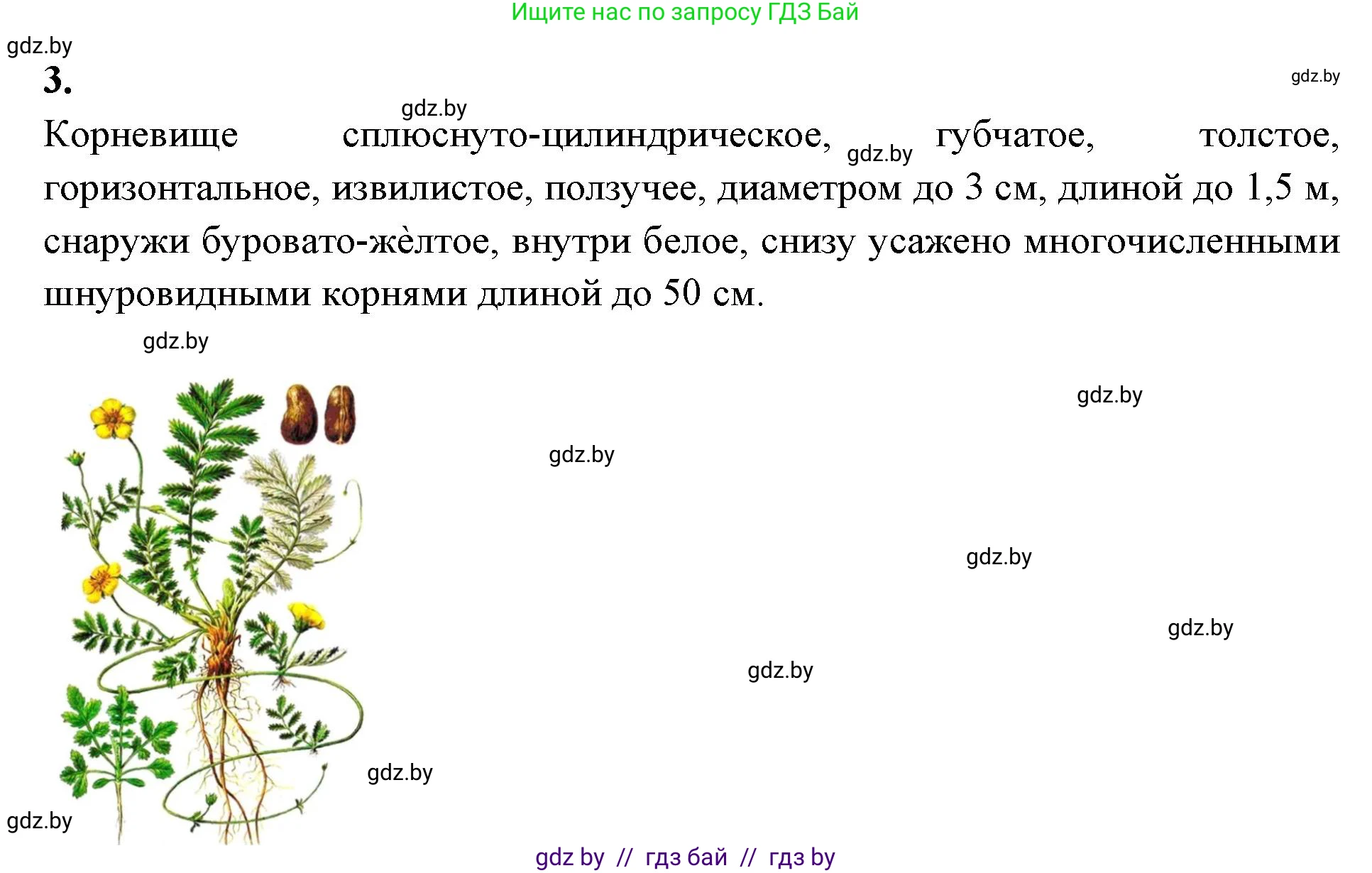 Биология, 10 класс Тетрадь для лабораторных и практических работ, автор: Хруцкая Тамара Викторовна, издательство Аверсэв, Минск, 2020, зелёного цвета, страница 63, номер 3, Решение