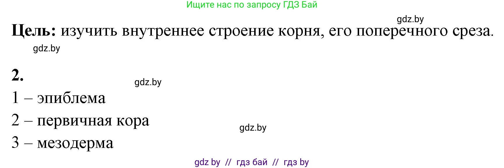 Биология, 10 класс Тетрадь для лабораторных и практических работ, автор: Хруцкая Тамара Викторовна, издательство Аверсэв, Минск, 2020, зелёного цвета, страница 9, номер 2, Решение