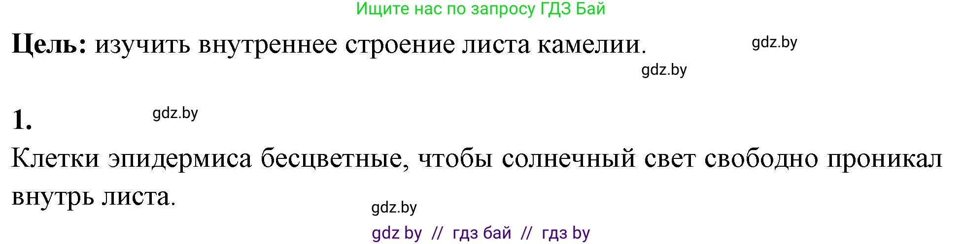 Биология, 10 класс Тетрадь для лабораторных и практических работ, автор: Хруцкая Тамара Викторовна, издательство Аверсэв, Минск, 2020, зелёного цвета, страница 15, номер 1, Решение
