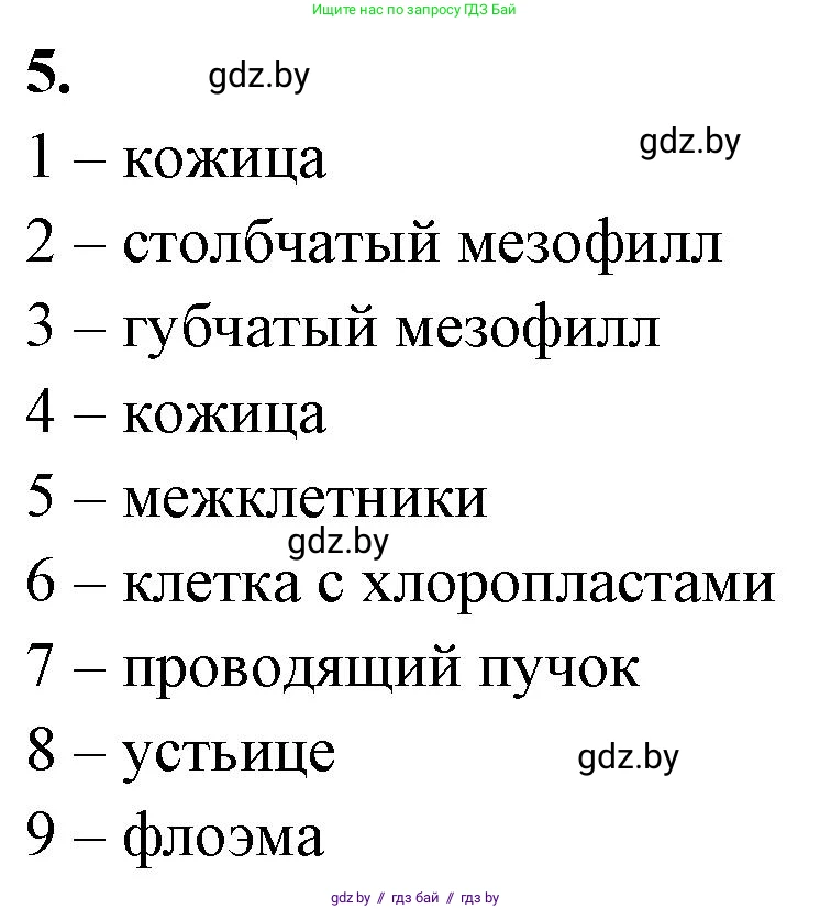 Биология, 10 класс Тетрадь для лабораторных и практических работ, автор: Хруцкая Тамара Викторовна, издательство Аверсэв, Минск, 2020, зелёного цвета, страница 16, номер 5, Решение