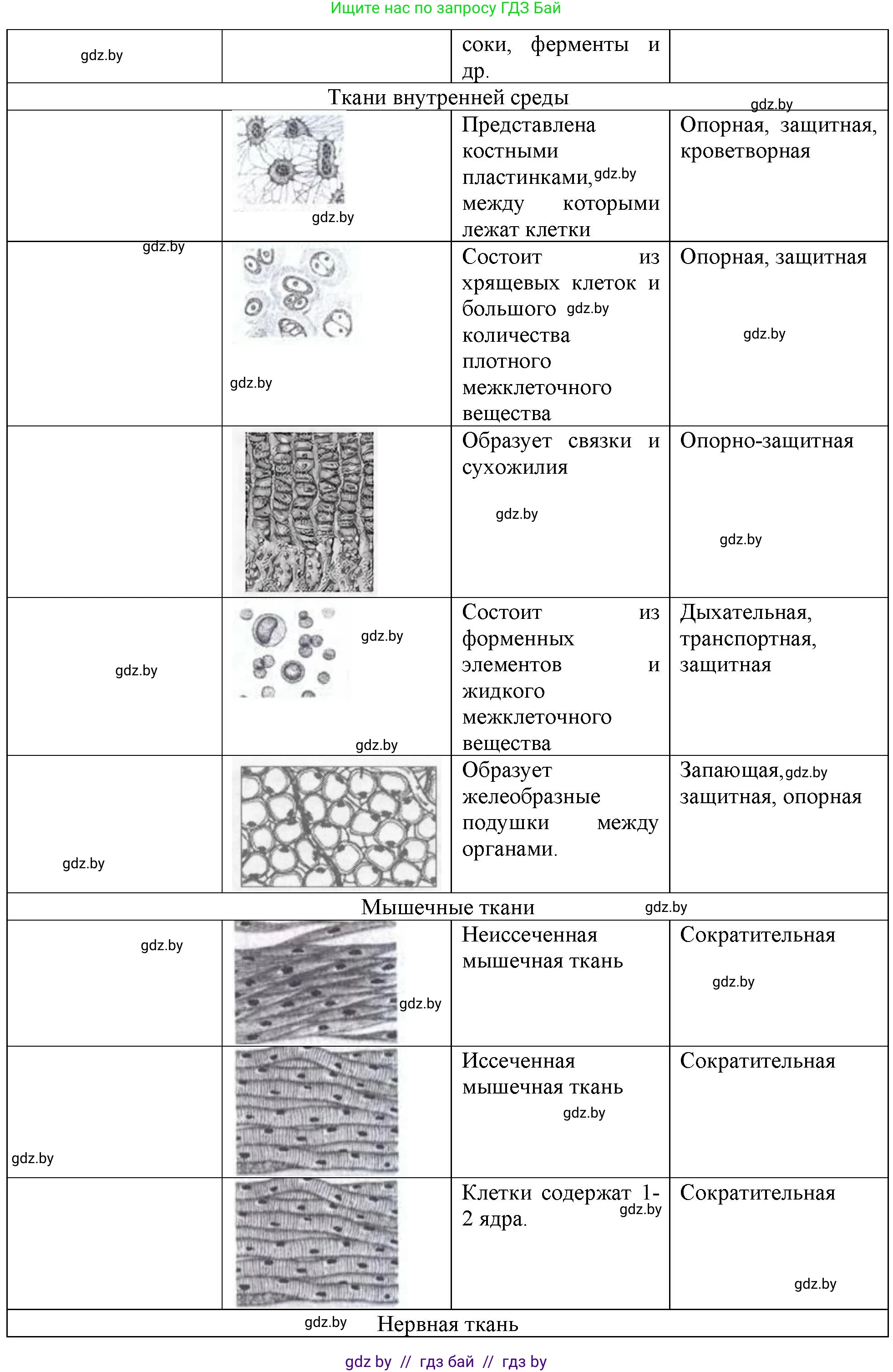 Биология, 10 класс Тетрадь для лабораторных и практических работ, автор: Хруцкая Тамара Викторовна, издательство Аверсэв, Минск, 2020, зелёного цвета, страница 18, номер 2, Решение (продолжение 2)
