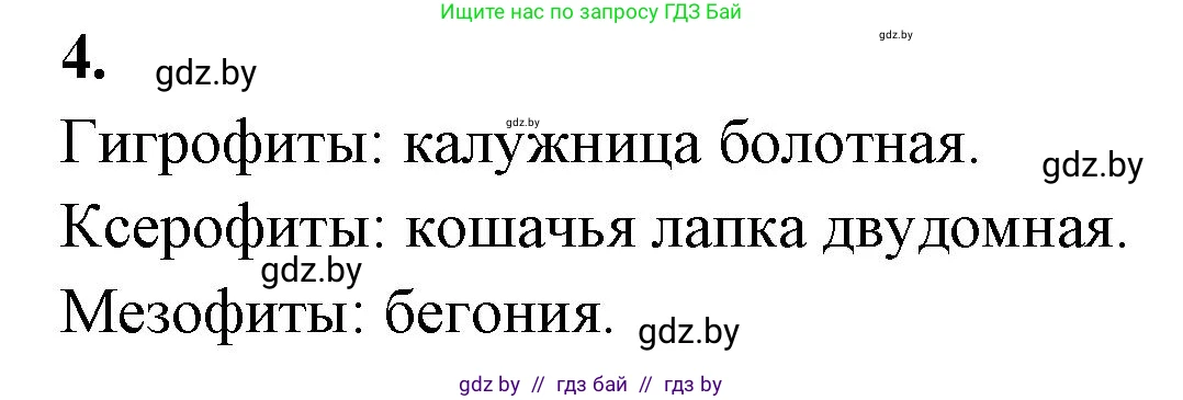 Биология, 10 класс Тетрадь для лабораторных и практических работ, автор: Хруцкая Тамара Викторовна, издательство Аверсэв, Минск, 2020, зелёного цвета, страница 23, номер 4, Решение