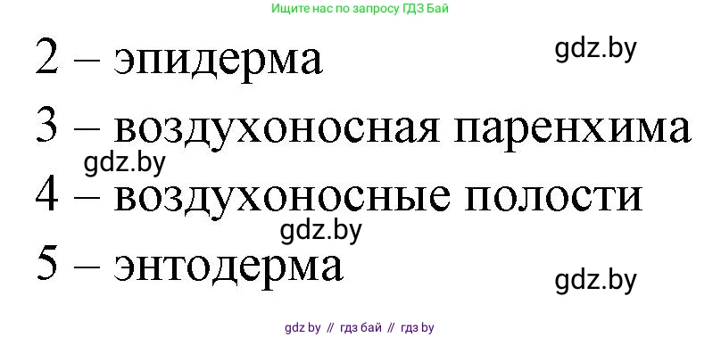 Биология, 10 класс Тетрадь для лабораторных и практических работ, автор: Хруцкая Тамара Викторовна, издательство Аверсэв, Минск, 2020, зелёного цвета, страница 23, номер 6, Решение (продолжение 2)