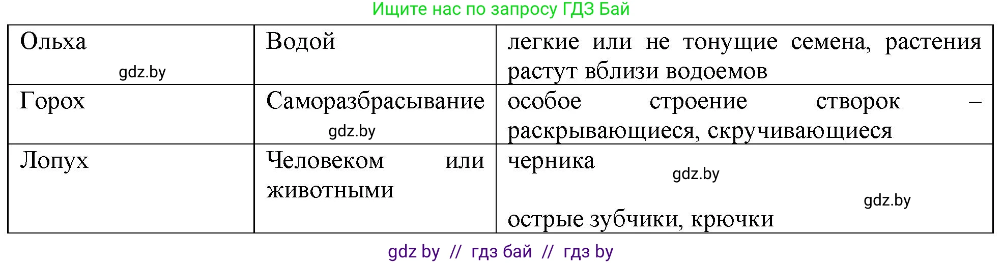 Биология, 10 класс Тетрадь для лабораторных и практических работ, автор: Хруцкая Тамара Викторовна, издательство Аверсэв, Минск, 2020, зелёного цвета, страница 39, номер 5, Решение (продолжение 2)