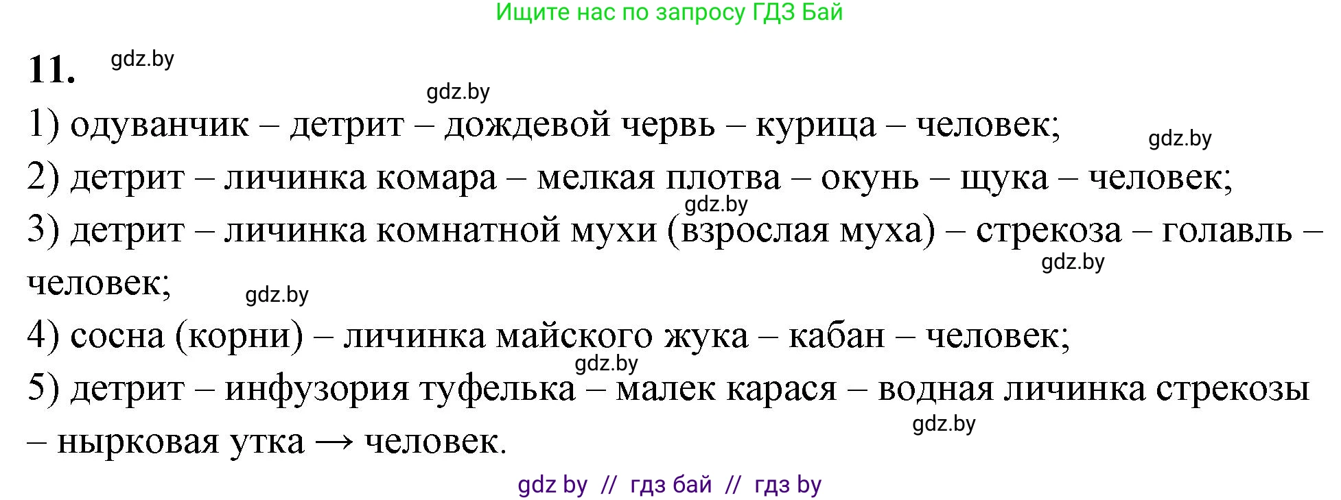 Биология, 10 класс Тетрадь для лабораторных и практических работ, автор: Хруцкая Тамара Викторовна, издательство Аверсэв, Минск, 2020, зелёного цвета, страница 87, номер 11, Решение