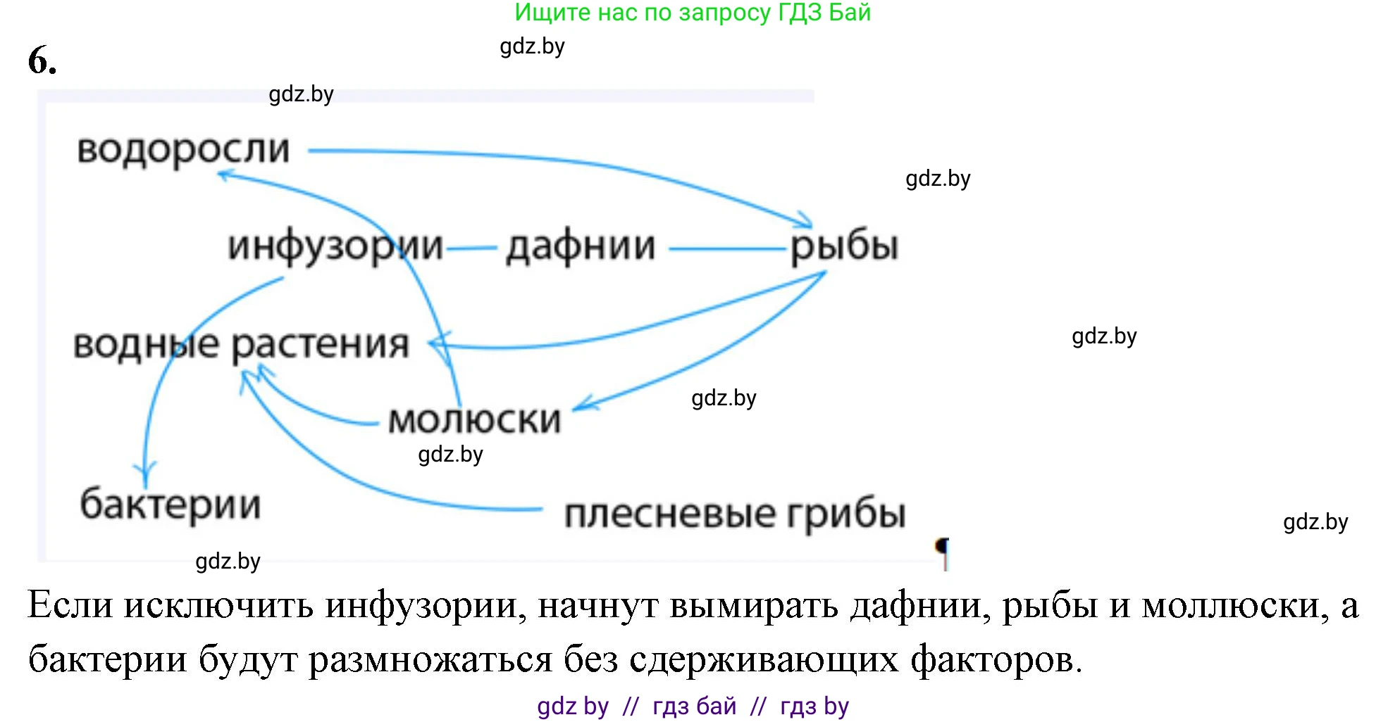 Биология, 10 класс Тетрадь для лабораторных и практических работ, автор: Хруцкая Тамара Викторовна, издательство Аверсэв, Минск, 2020, зелёного цвета, страница 84, номер 6, Решение