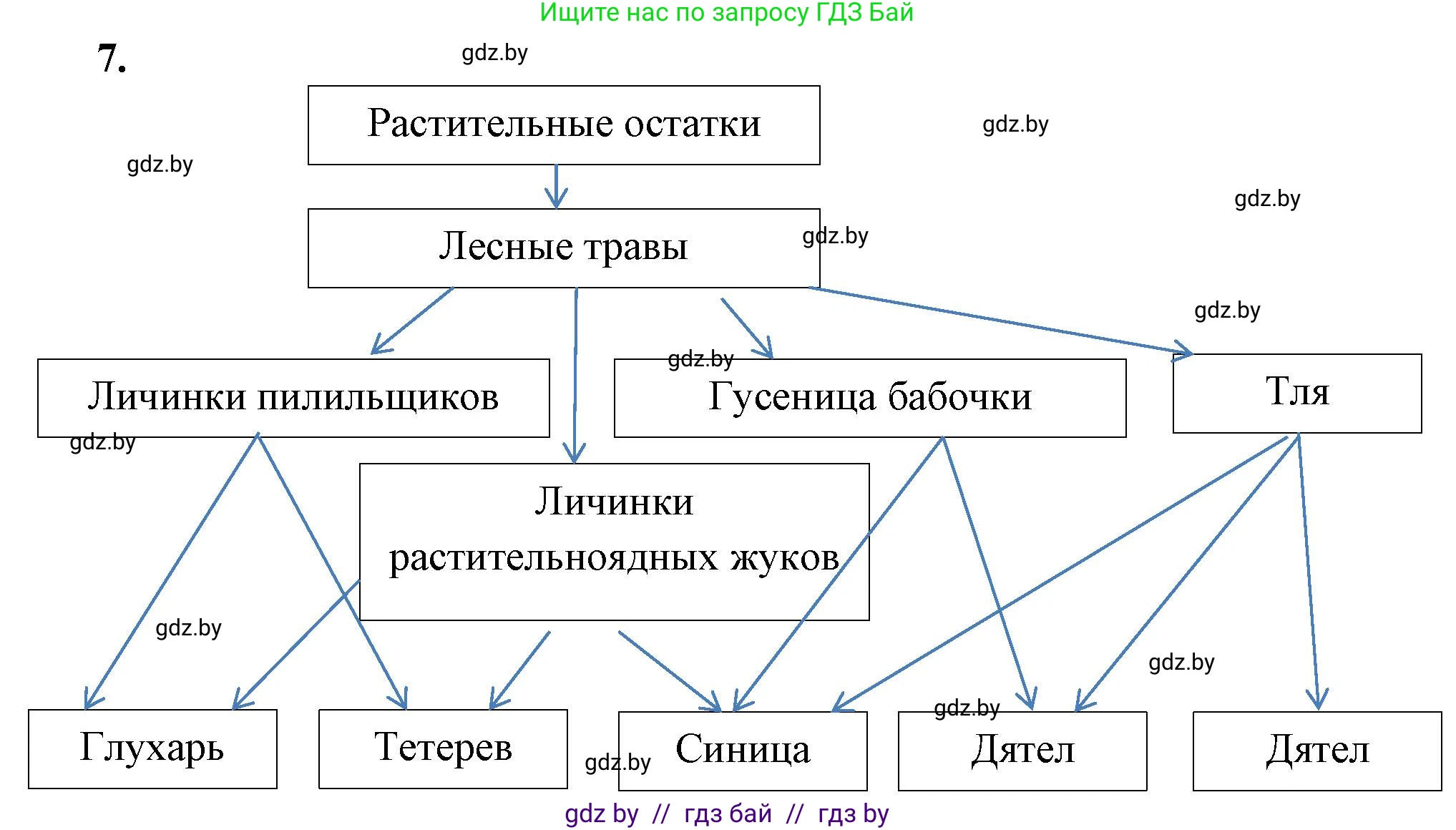 Биология, 10 класс Тетрадь для лабораторных и практических работ, автор: Хруцкая Тамара Викторовна, издательство Аверсэв, Минск, 2020, зелёного цвета, страница 85, номер 7, Решение