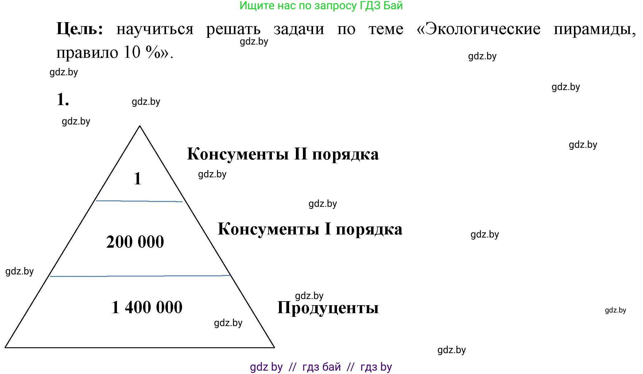 Биология, 10 класс Тетрадь для лабораторных и практических работ, автор: Хруцкая Тамара Викторовна, издательство Аверсэв, Минск, 2020, зелёного цвета, страница 95, номер 1, Решение