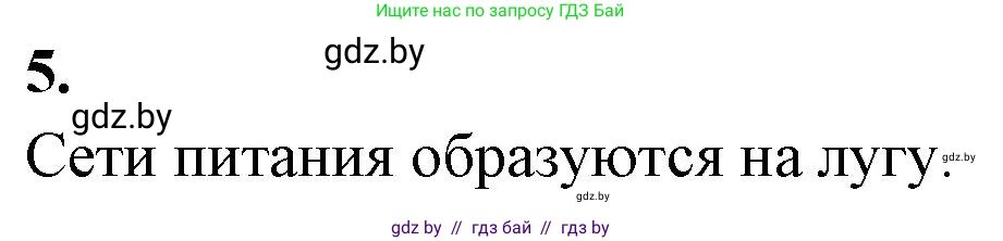 Биология, 10 класс Тетрадь для лабораторных и практических работ, автор: Хруцкая Тамара Викторовна, издательство Аверсэв, Минск, 2020, зелёного цвета, страница 115, номер 5, Решение