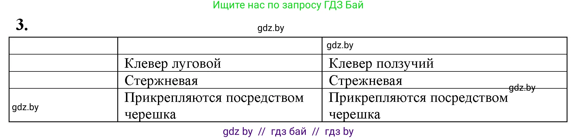 Биология, 10 класс Тетрадь для лабораторных и практических работ, авторы: Маглыш Сабина Степановна, Кравченко Вячеслав Анатольевич, издательство Аверсэв, Минск, 2021, зелёного цвета, страница 10, номер 3, Решение