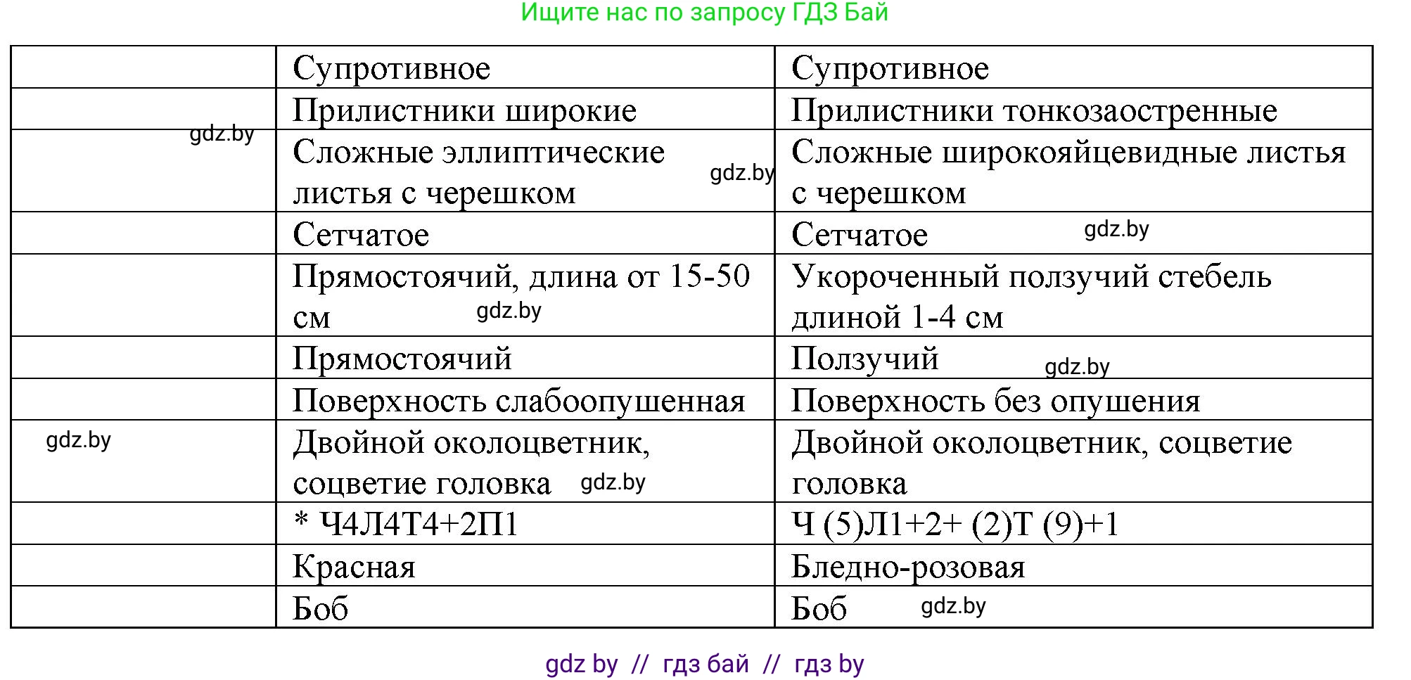 Биология, 10 класс Тетрадь для лабораторных и практических работ, авторы: Маглыш Сабина Степановна, Кравченко Вячеслав Анатольевич, издательство Аверсэв, Минск, 2021, зелёного цвета, страница 10, номер 3, Решение (продолжение 2)