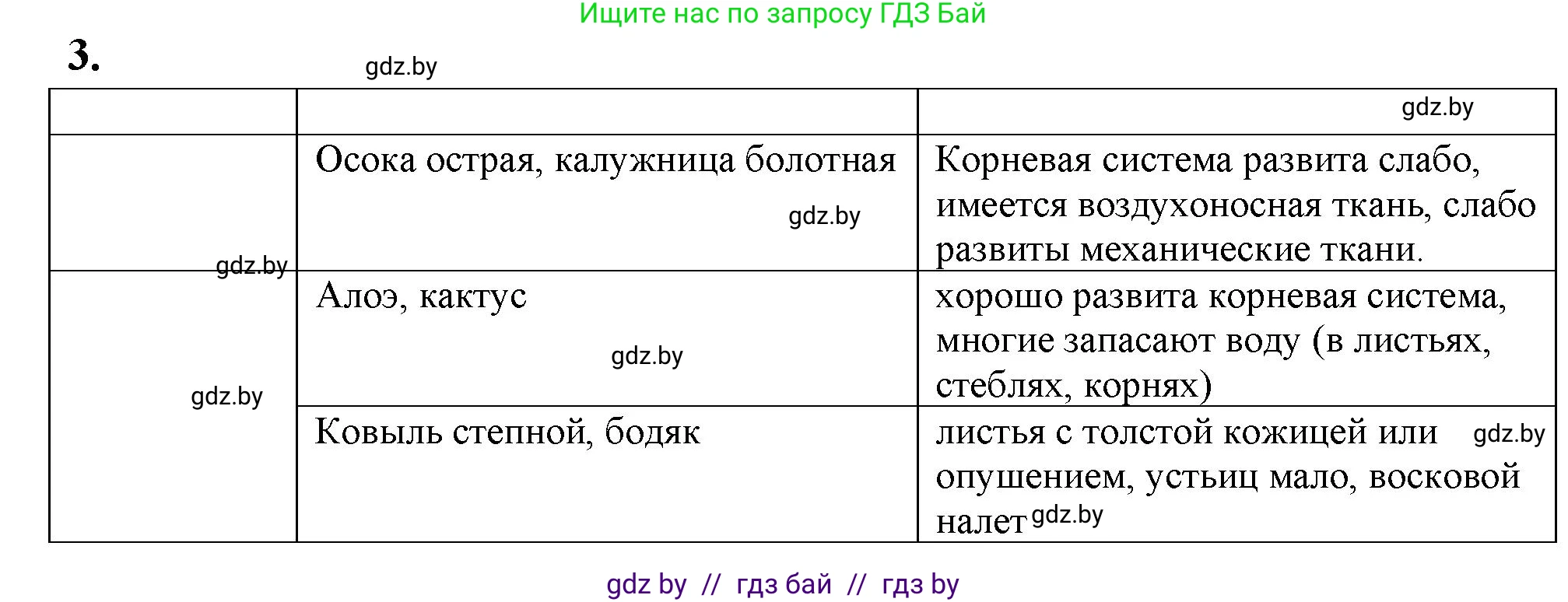 Биология, 10 класс Тетрадь для лабораторных и практических работ, авторы: Маглыш Сабина Степановна, Кравченко Вячеслав Анатольевич, издательство Аверсэв, Минск, 2021, зелёного цвета, страница 5, номер 3, Решение