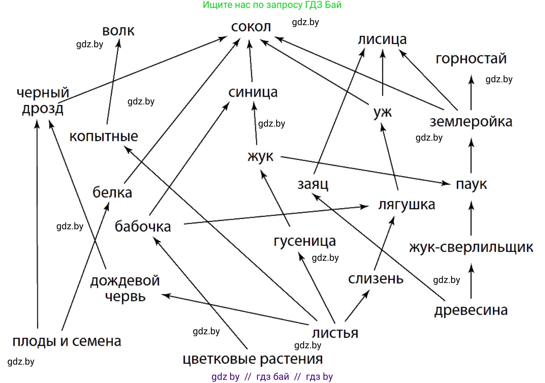 Биология, 10 класс Тетрадь для лабораторных и практических работ, авторы: Маглыш Сабина Степановна, Кравченко Вячеслав Анатольевич, издательство Аверсэв, Минск, 2021, зелёного цвета, страница 15, номер 1, Решение (продолжение 2)