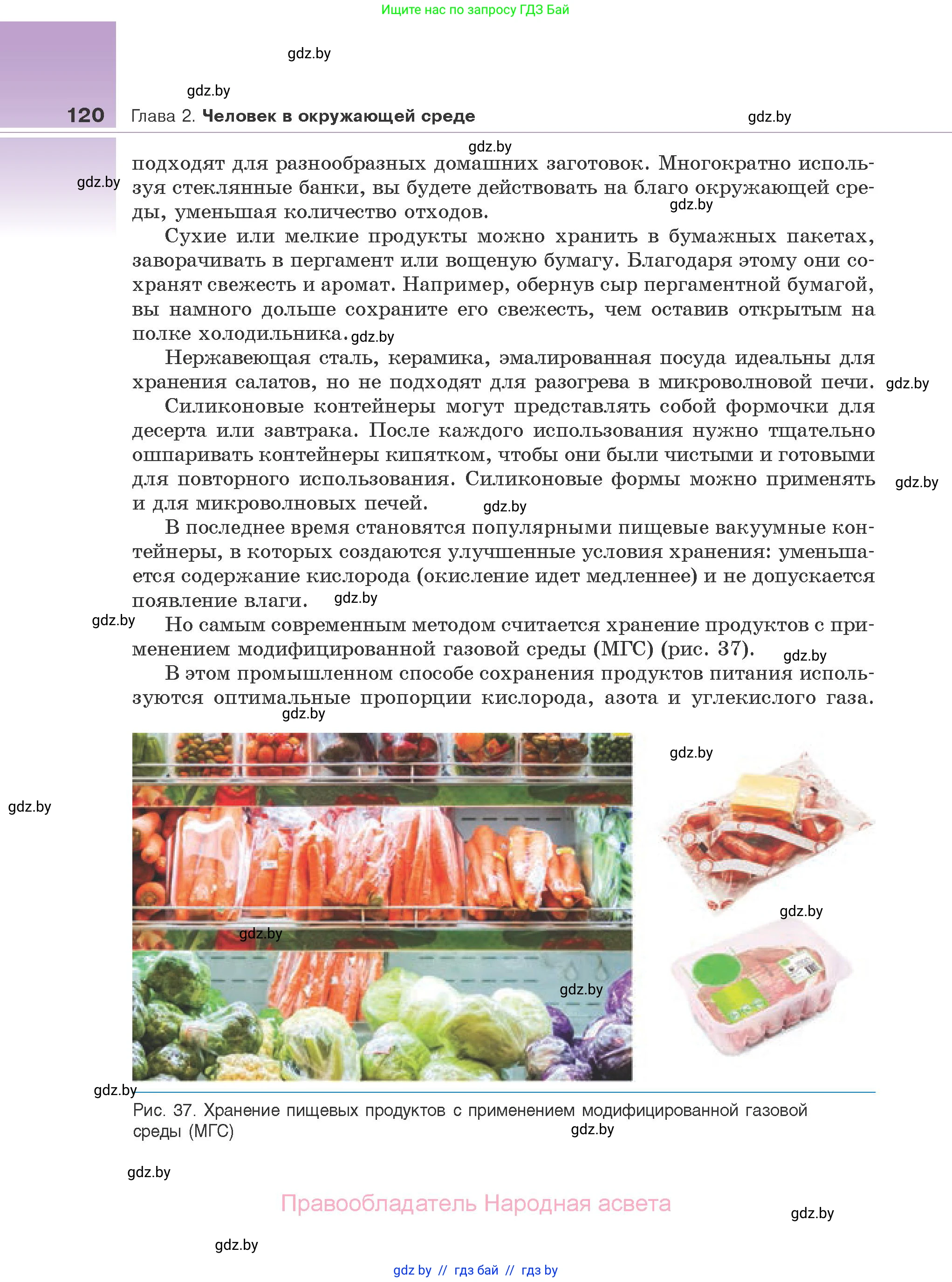 Биология, 10 класс Учебник, авторы: Маглыш Сабина Степановна, Кравченко Вячеслав Анатольевич, Довгун Татьяна Яновна, издательство Народная асвета, Минск, 2020, зелёного цвета, страница 120