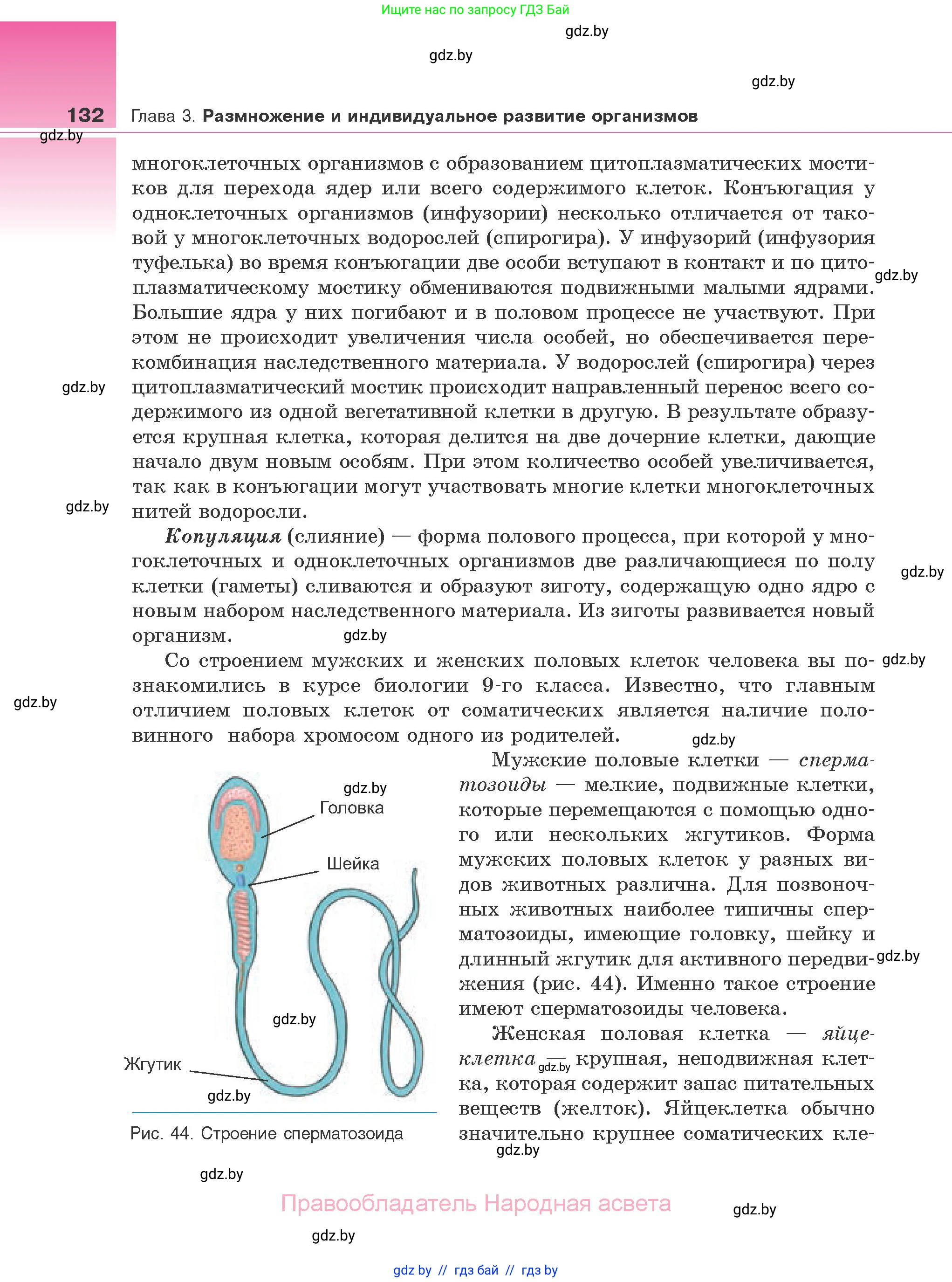 Биология, 10 класс Учебник, авторы: Маглыш Сабина Степановна, Кравченко Вячеслав Анатольевич, Довгун Татьяна Яновна, издательство Народная асвета, Минск, 2020, зелёного цвета, страница 132