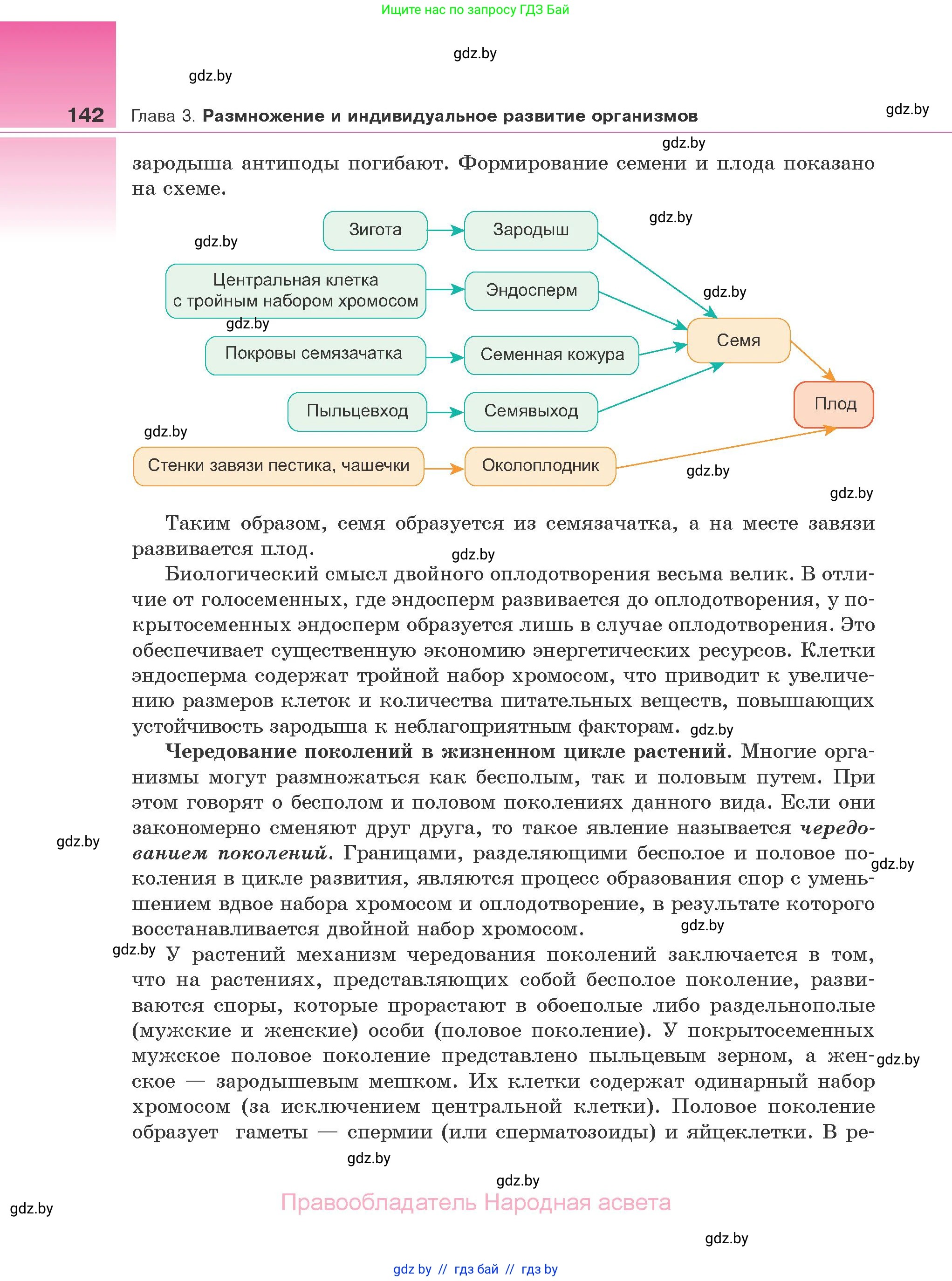 Биология, 10 класс Учебник, авторы: Маглыш Сабина Степановна, Кравченко Вячеслав Анатольевич, Довгун Татьяна Яновна, издательство Народная асвета, Минск, 2020, зелёного цвета, страница 142