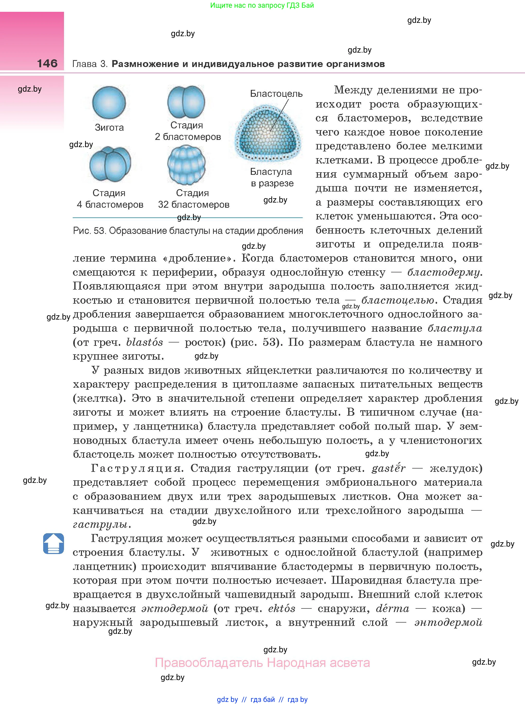 Биология, 10 класс Учебник, авторы: Маглыш Сабина Степановна, Кравченко Вячеслав Анатольевич, Довгун Татьяна Яновна, издательство Народная асвета, Минск, 2020, зелёного цвета, страница 146
