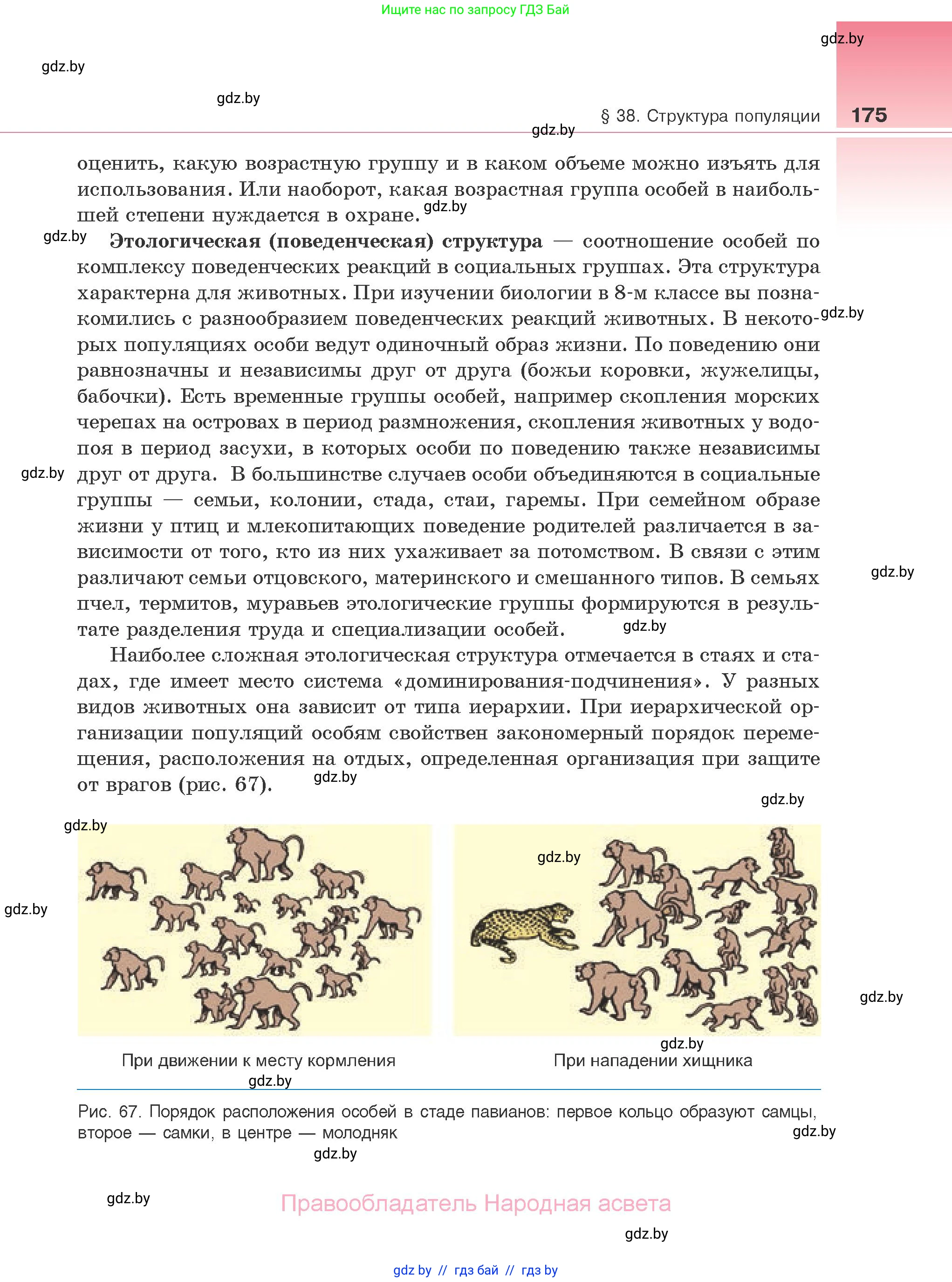 Биология, 10 класс Учебник, авторы: Маглыш Сабина Степановна, Кравченко Вячеслав Анатольевич, Довгун Татьяна Яновна, издательство Народная асвета, Минск, 2020, зелёного цвета, страница 175