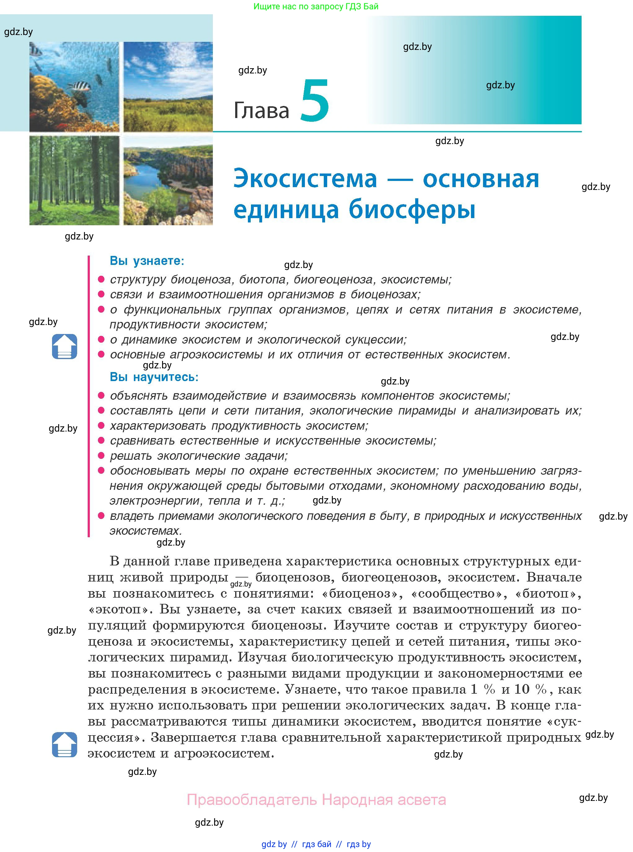Биология, 10 класс Учебник, авторы: Маглыш Сабина Степановна, Кравченко Вячеслав Анатольевич, Довгун Татьяна Яновна, издательство Народная асвета, Минск, 2020, зелёного цвета, страница 182
