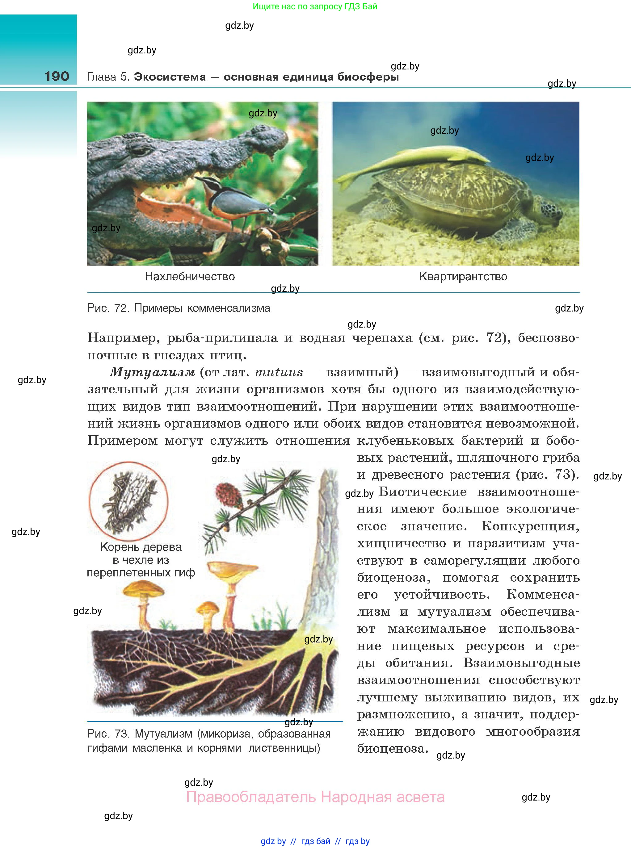 Биология, 10 класс Учебник, авторы: Маглыш Сабина Степановна, Кравченко Вячеслав Анатольевич, Довгун Татьяна Яновна, издательство Народная асвета, Минск, 2020, зелёного цвета, страница 190