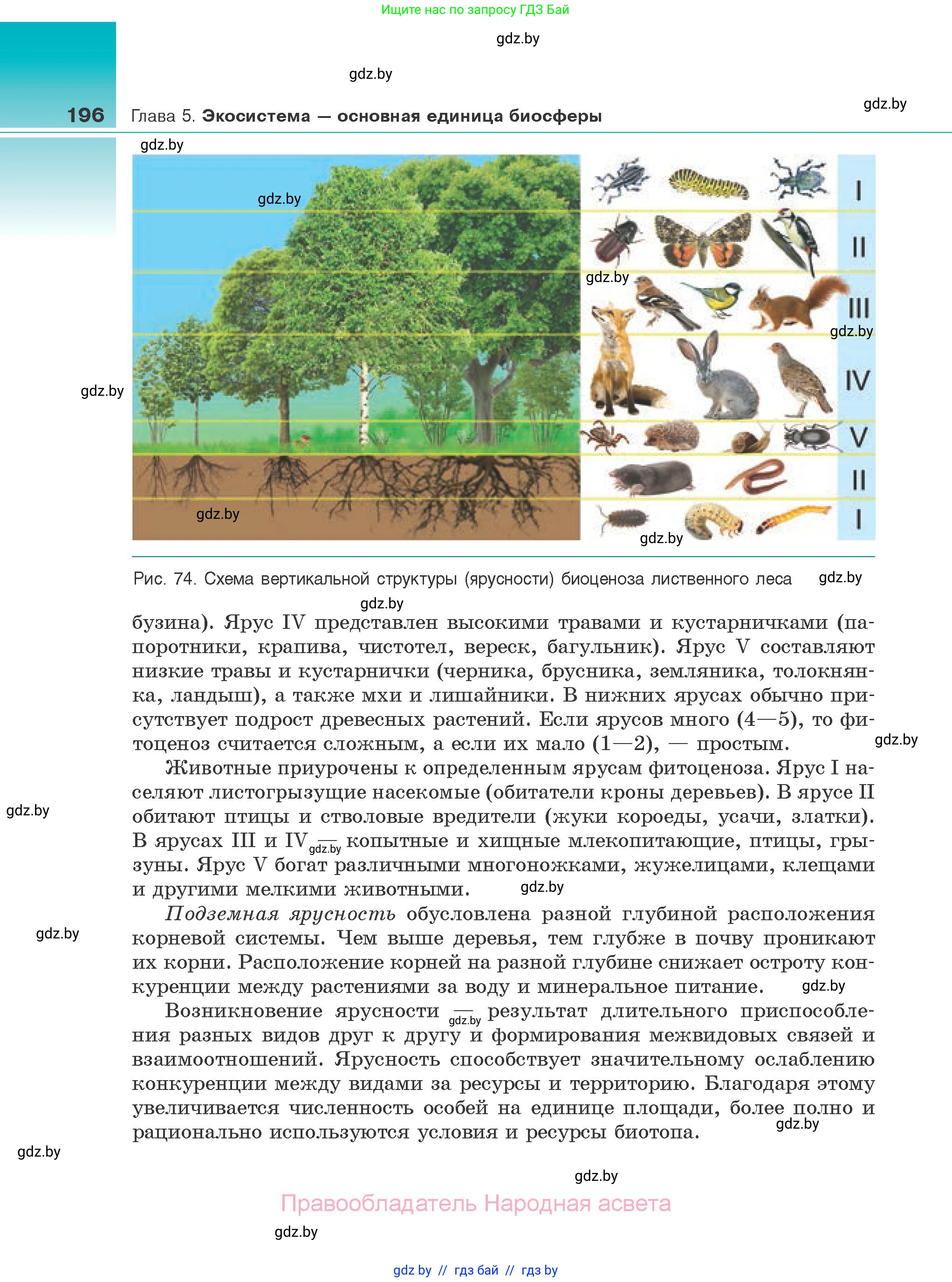Биология, 10 класс Учебник, авторы: Маглыш Сабина Степановна, Кравченко Вячеслав Анатольевич, Довгун Татьяна Яновна, издательство Народная асвета, Минск, 2020, зелёного цвета, страница 196