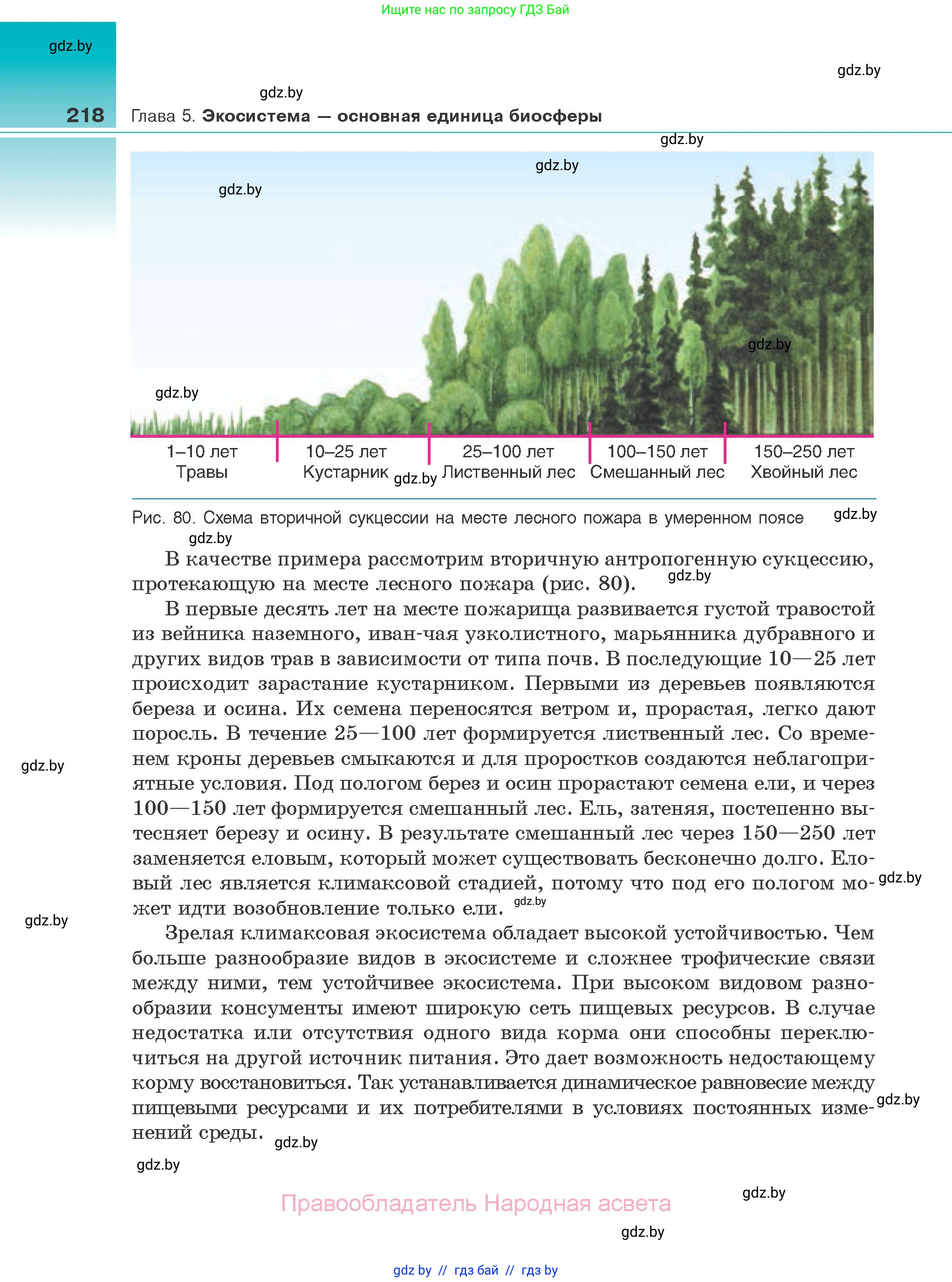 Биология, 10 класс Учебник, авторы: Маглыш Сабина Степановна, Кравченко Вячеслав Анатольевич, Довгун Татьяна Яновна, издательство Народная асвета, Минск, 2020, зелёного цвета, страница 218