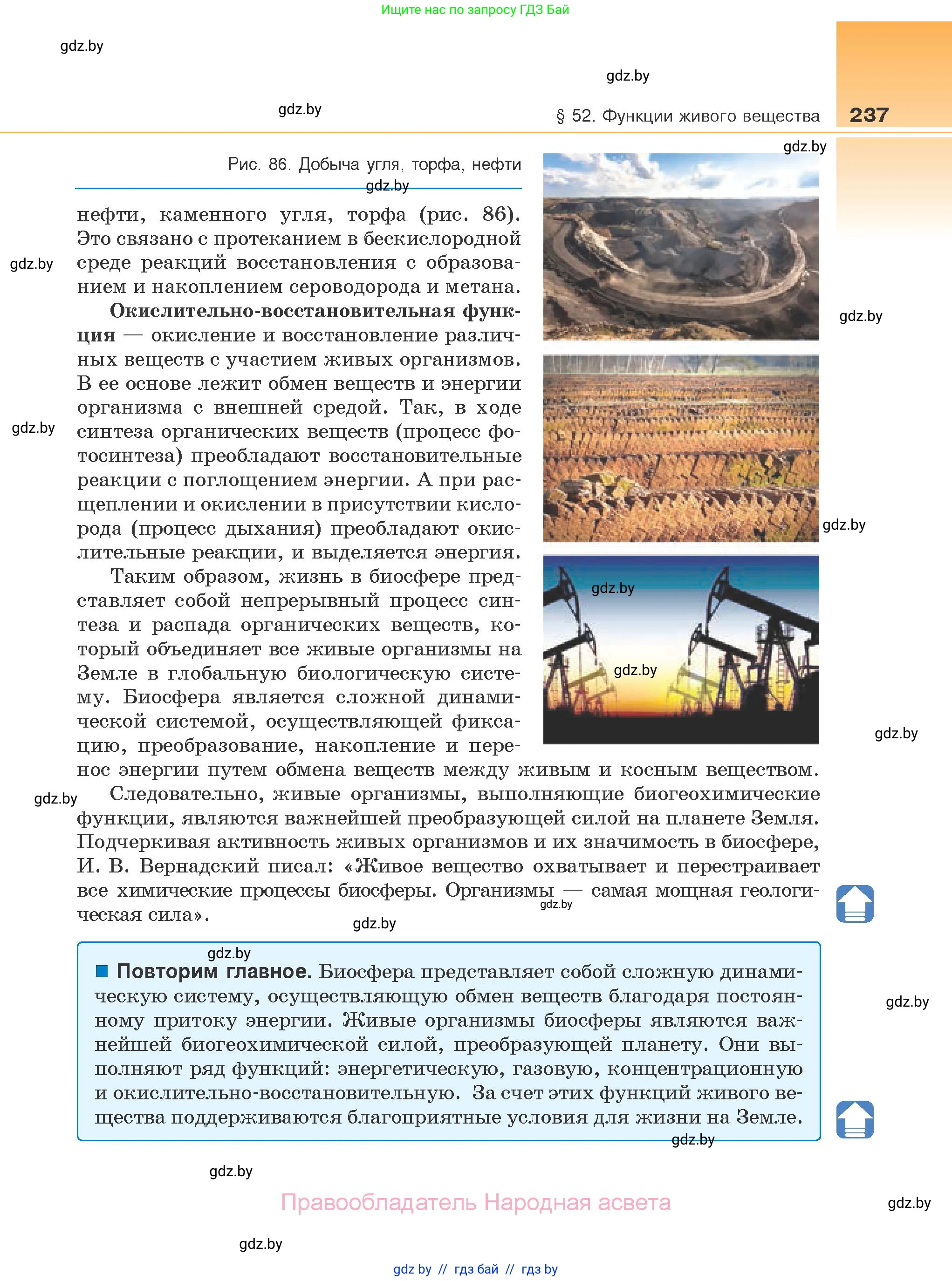 Биология, 10 класс Учебник, авторы: Маглыш Сабина Степановна, Кравченко Вячеслав Анатольевич, Довгун Татьяна Яновна, издательство Народная асвета, Минск, 2020, зелёного цвета, страница 237