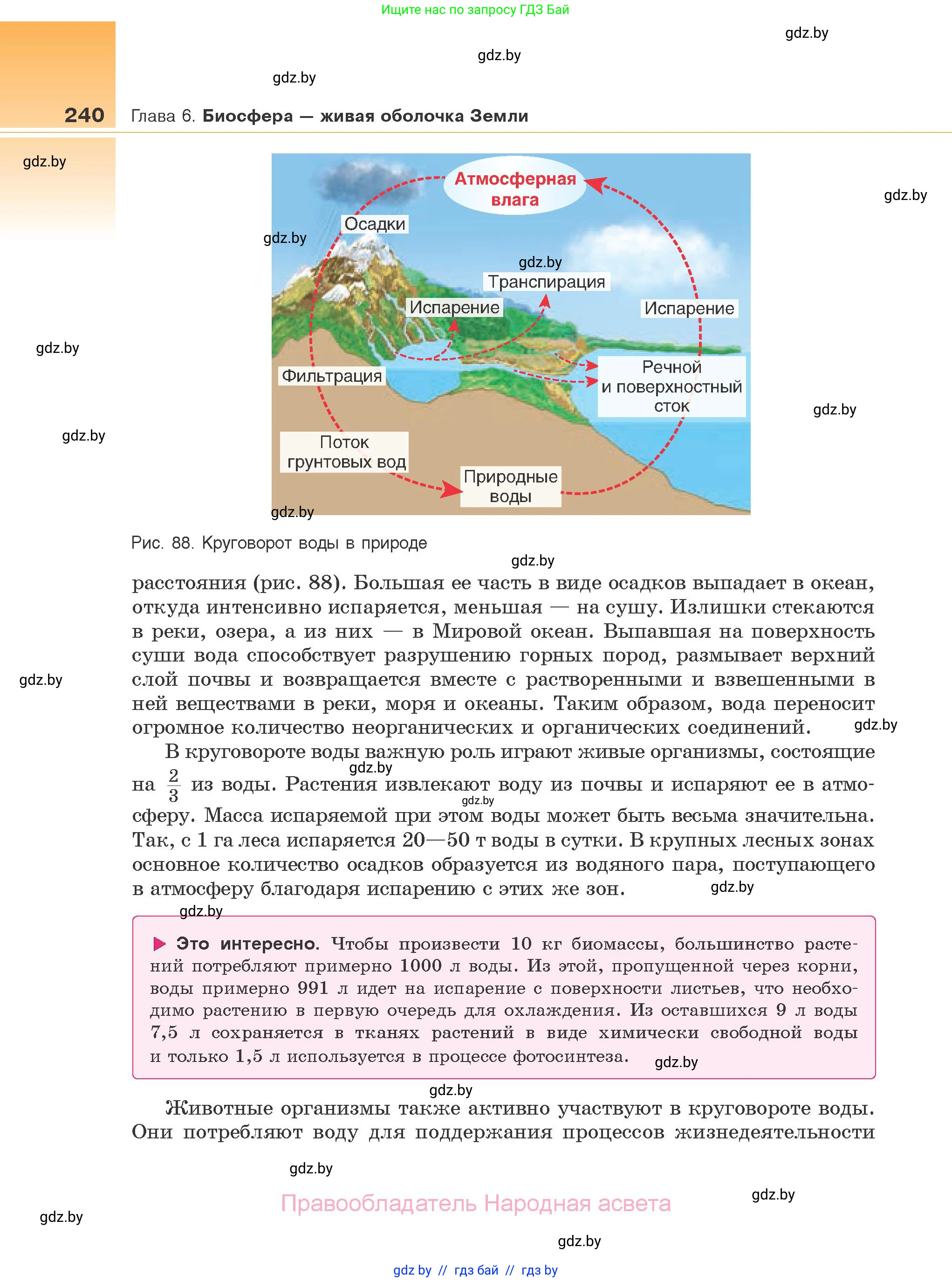 Биология, 10 класс Учебник, авторы: Маглыш Сабина Степановна, Кравченко Вячеслав Анатольевич, Довгун Татьяна Яновна, издательство Народная асвета, Минск, 2020, зелёного цвета, страница 240