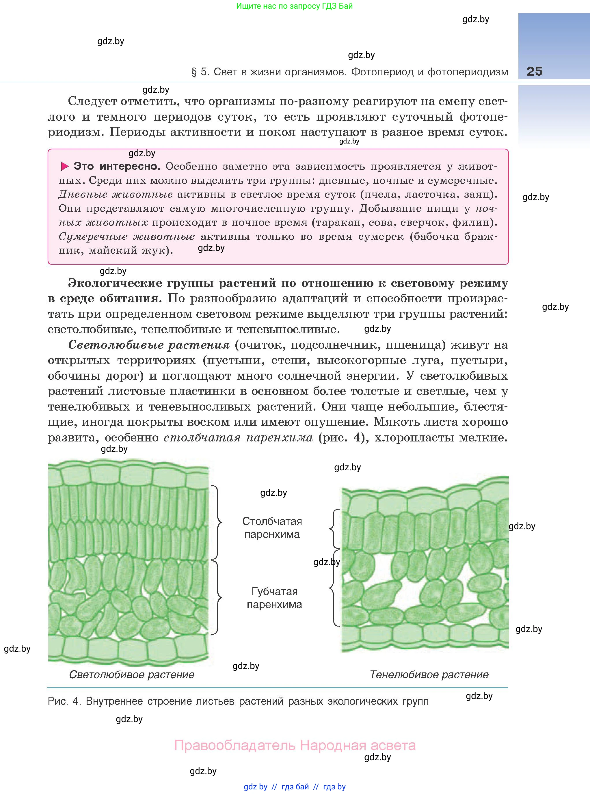 Биология, 10 класс Учебник, авторы: Маглыш Сабина Степановна, Кравченко Вячеслав Анатольевич, Довгун Татьяна Яновна, издательство Народная асвета, Минск, 2020, зелёного цвета, страница 25