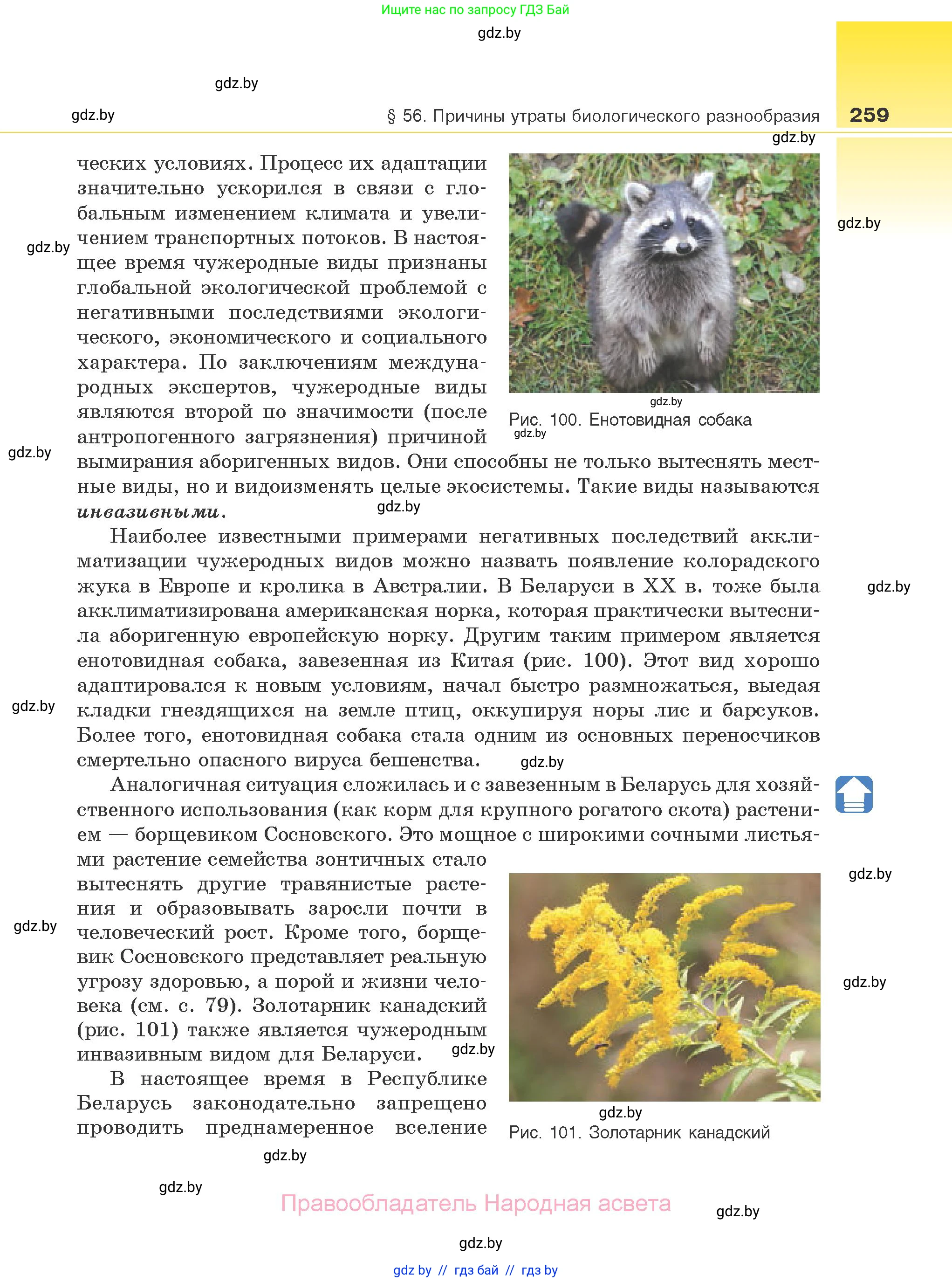 Биология, 10 класс Учебник, авторы: Маглыш Сабина Степановна, Кравченко Вячеслав Анатольевич, Довгун Татьяна Яновна, издательство Народная асвета, Минск, 2020, зелёного цвета, страница 259